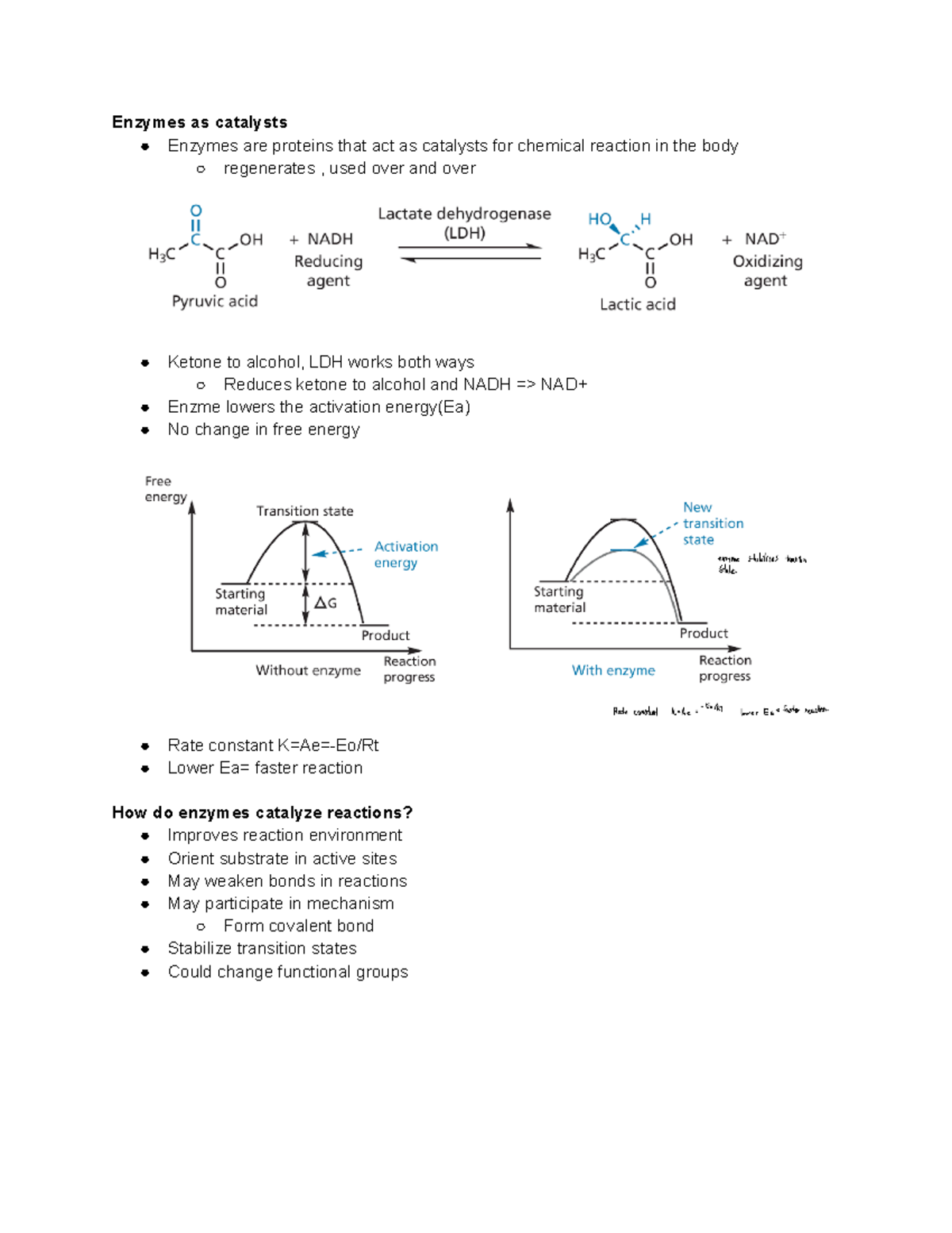 Week 2 medicinal chemistry Enzymes as catalysts Enzymes are proteins