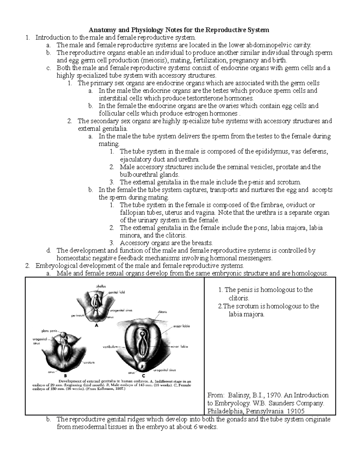 Reproductive System Uploads - Anatomy and Physiology Notes for the ...