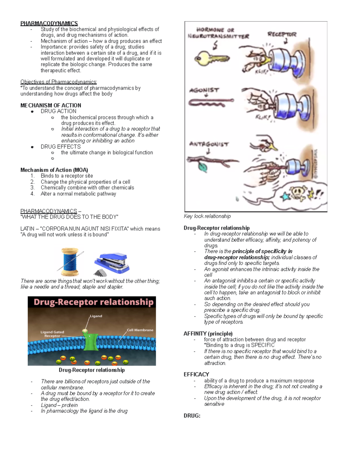 Pharmacodynamics (Dental Pharmacology) PHARMACODYNAMICS Study of the biochemical and