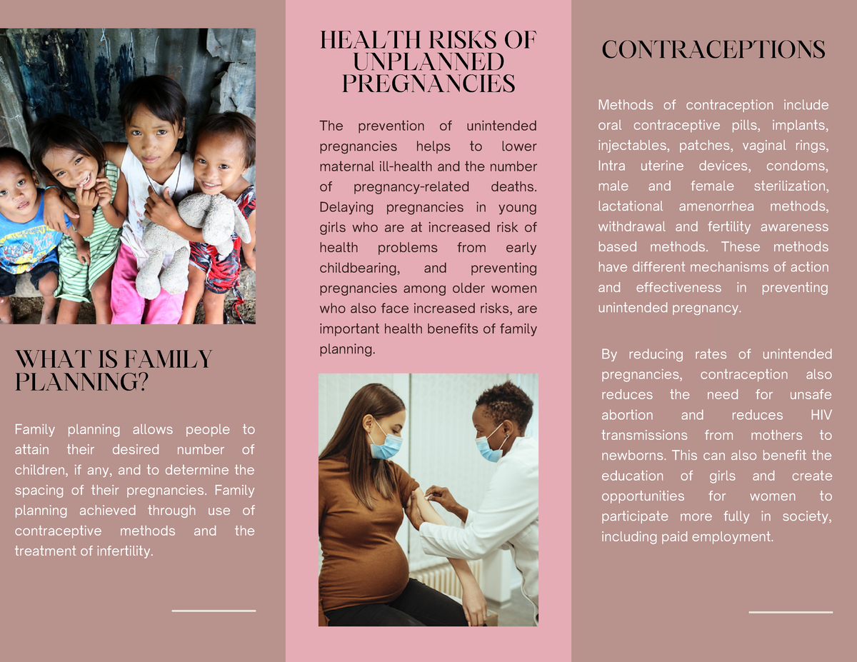 reproductive-system-brochure-what-is-family-planning-contraceptions-family-planning-allows