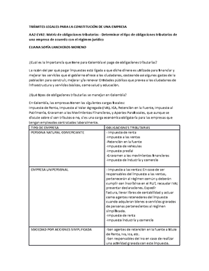 Mapa conceptual - Definir los tipos de contribuyentes y sus ...