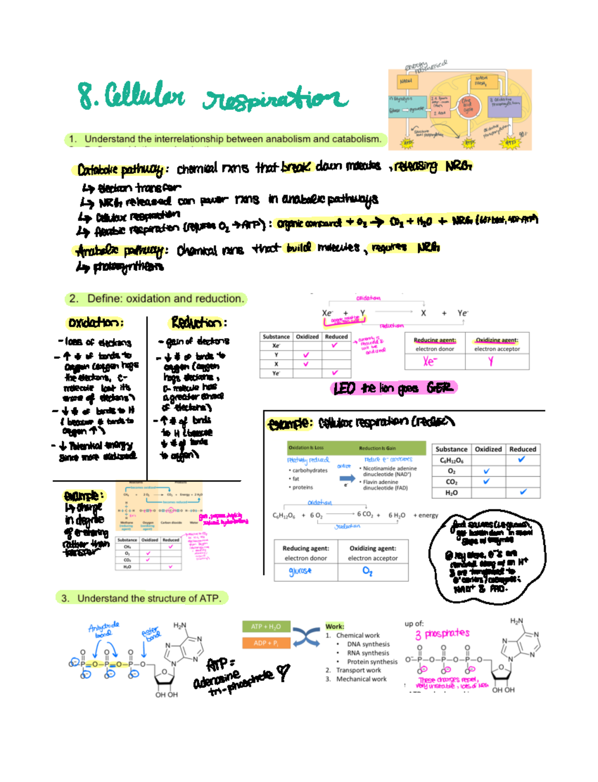Cellular Respiration - ####### 8 Cellular respiration Catabolicpathway ...
