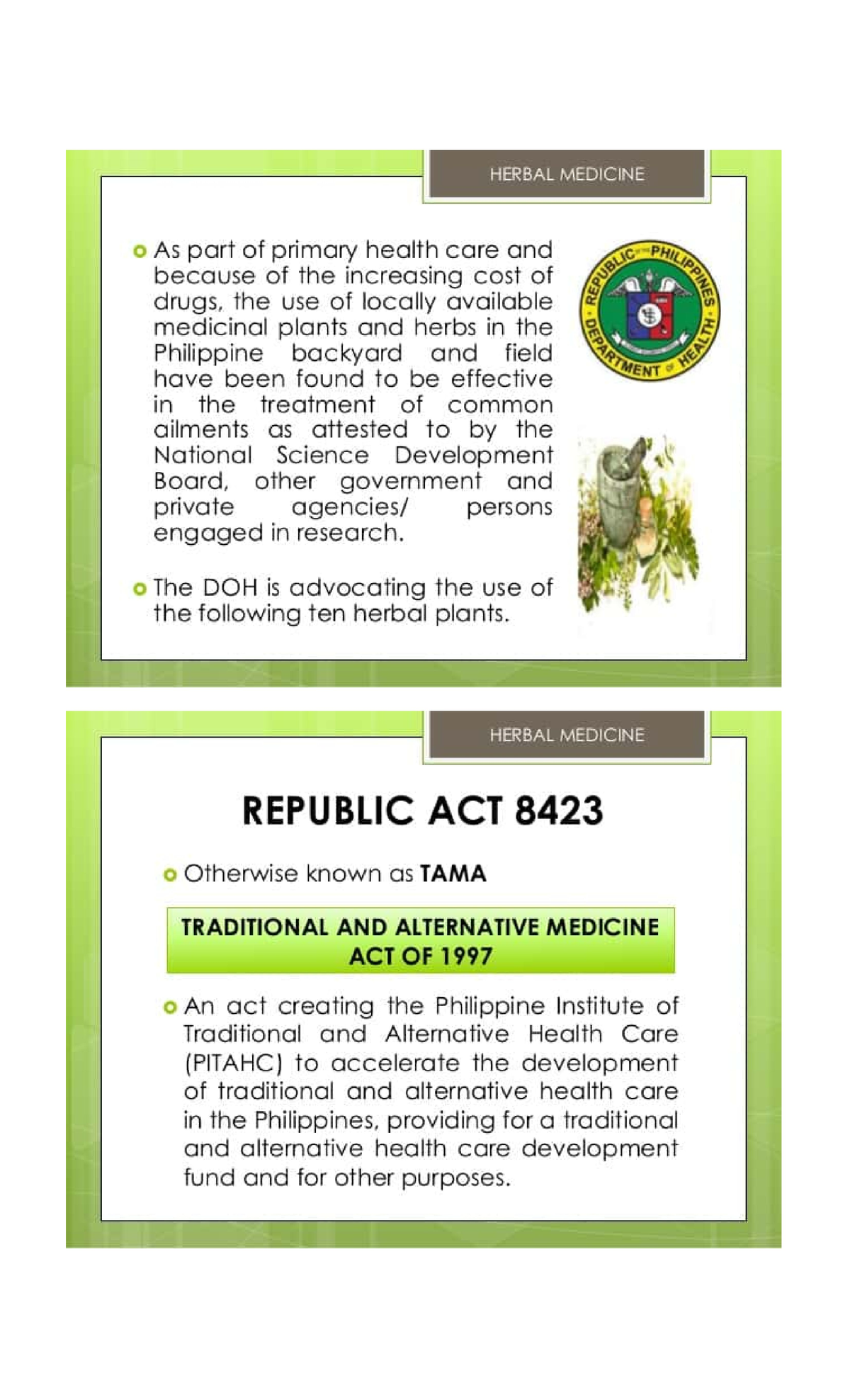 10-approved-herbal-plants-by-doh-nursing-studocu