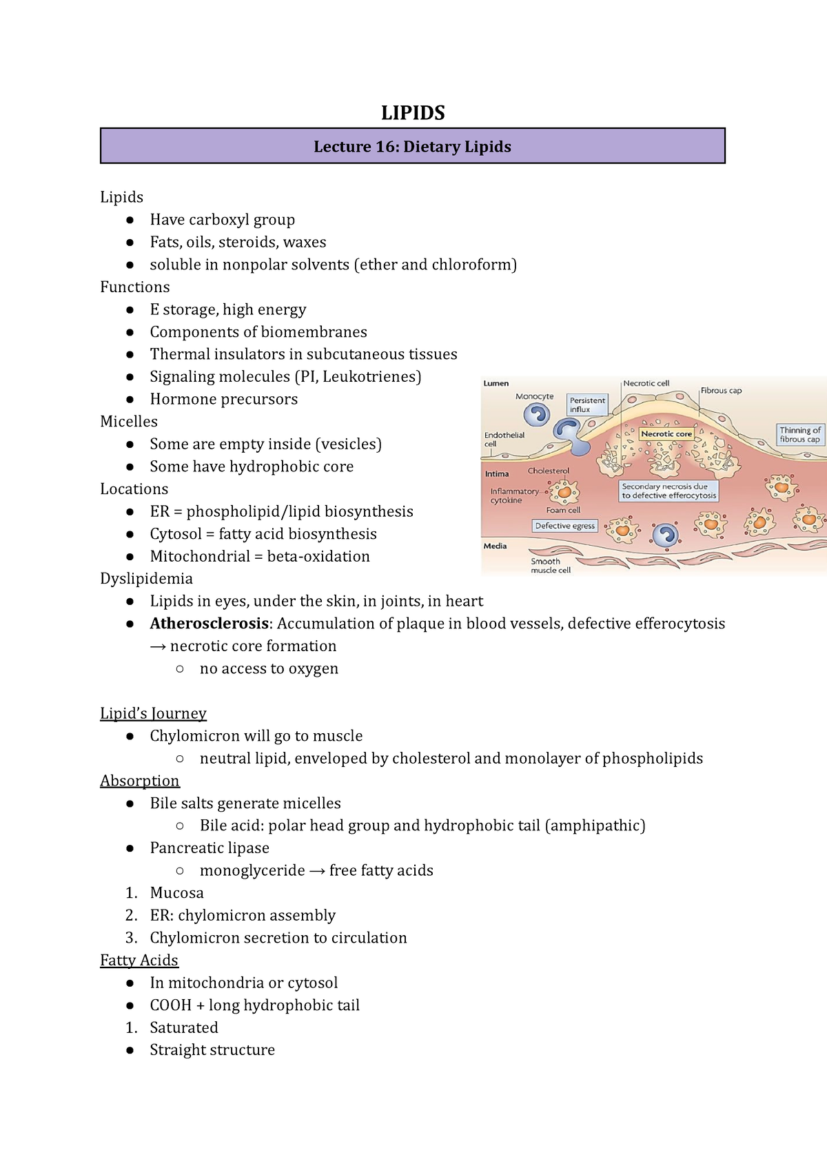 BIOC 311 L19-23 Lipids Module - LIPIDS Lecture 16: Dietary Lipids ...