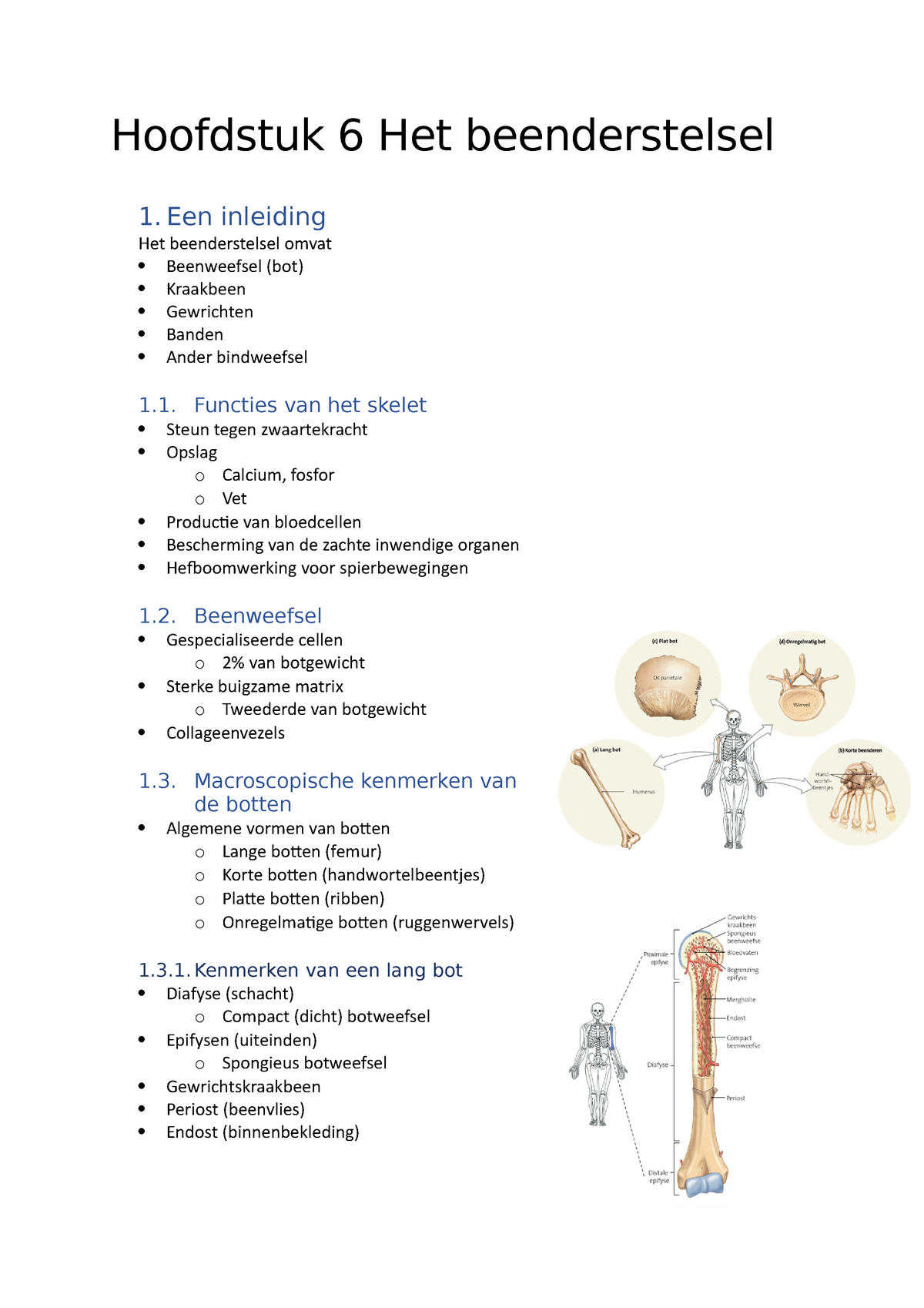 Hoofdstuk 6 Het Beenderstelsel Hoofdstuk 6 Het Beenderstelsel 1