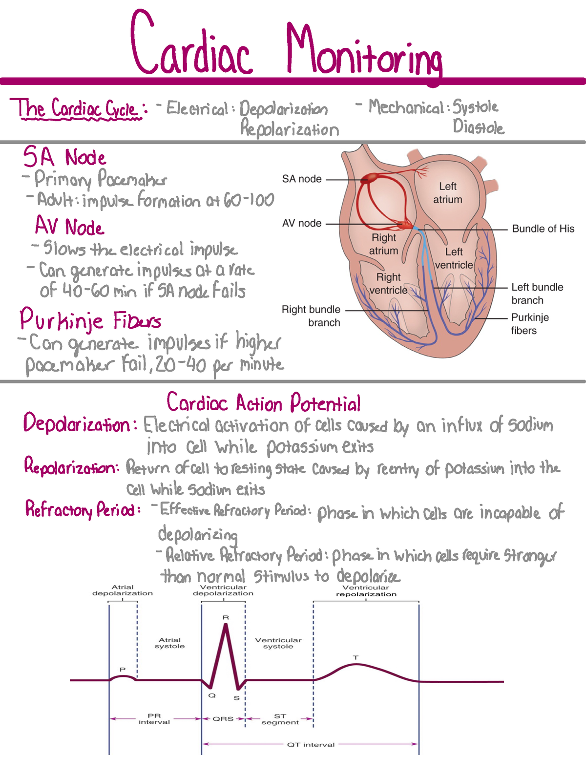 Cardiac Monitoring - Heart rhythms - Cardiac Monitoring Thin ...