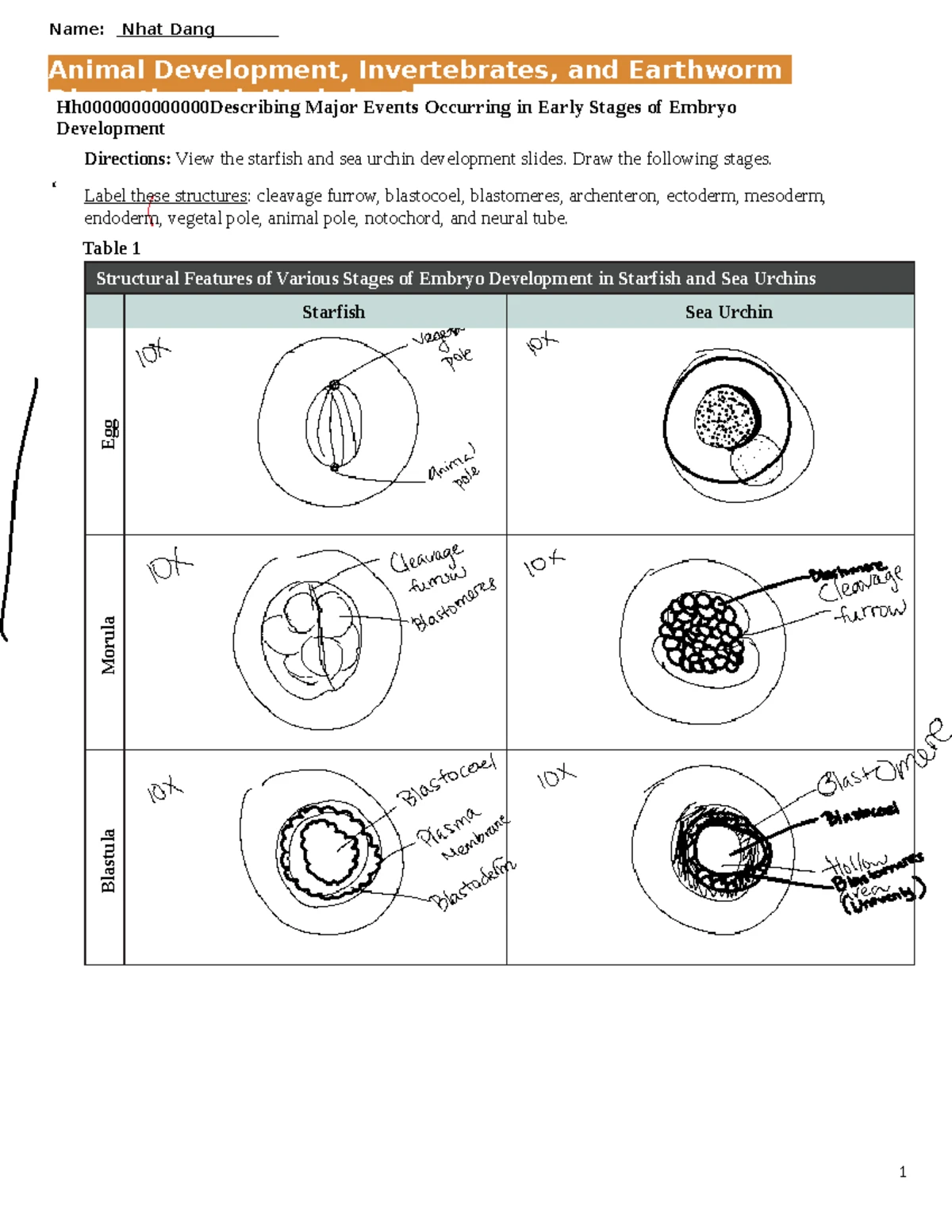 Studocu - Resúmenes, apuntes y preparación de exámenes gratis