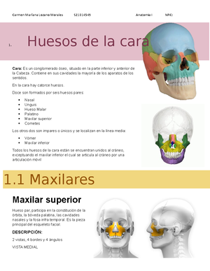 Discrasias Sanguineas - ¿Qué es una discrasia sanguínea? Cualquier ...
