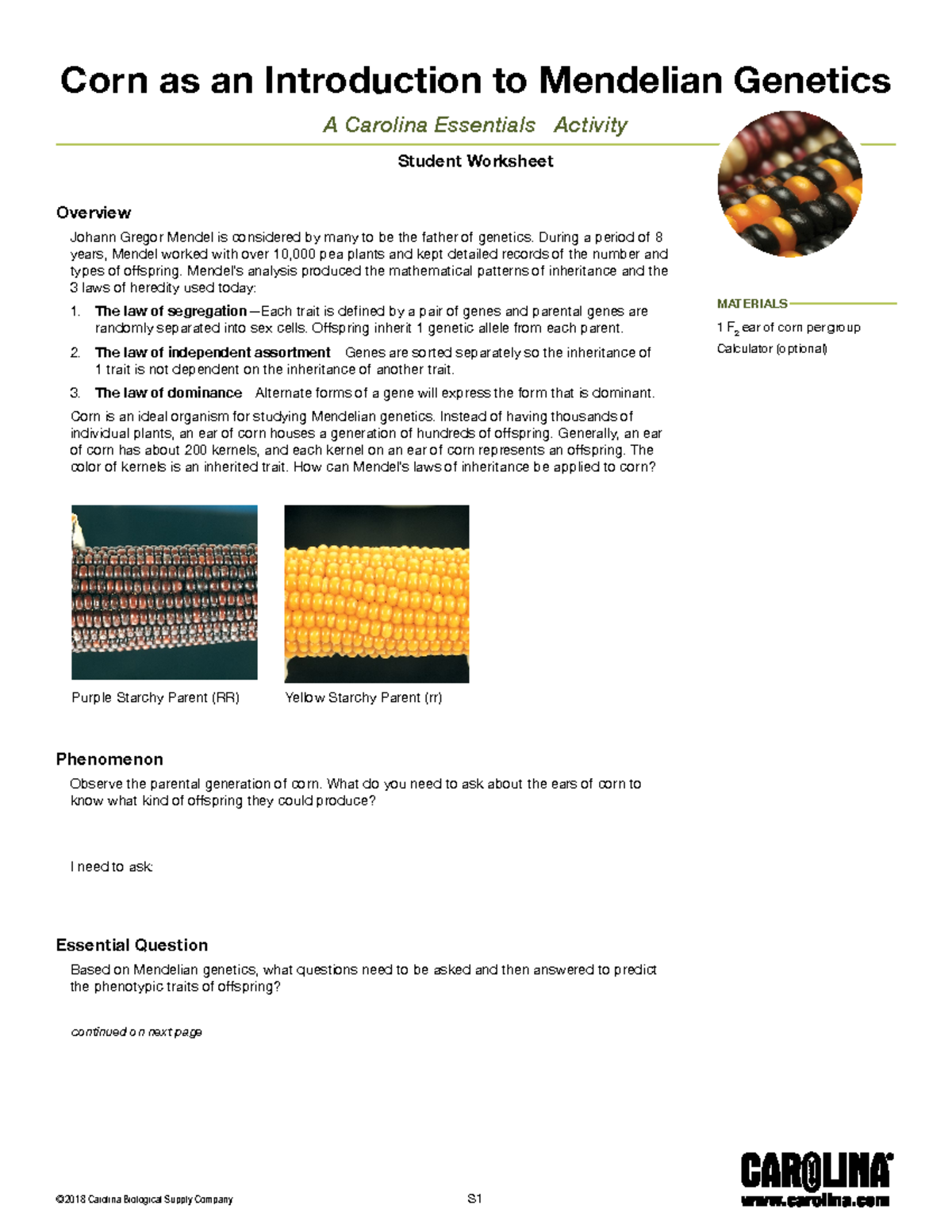 Unraveling the Mysteries of Mendelian Genetics – A Corn Kit Adventure