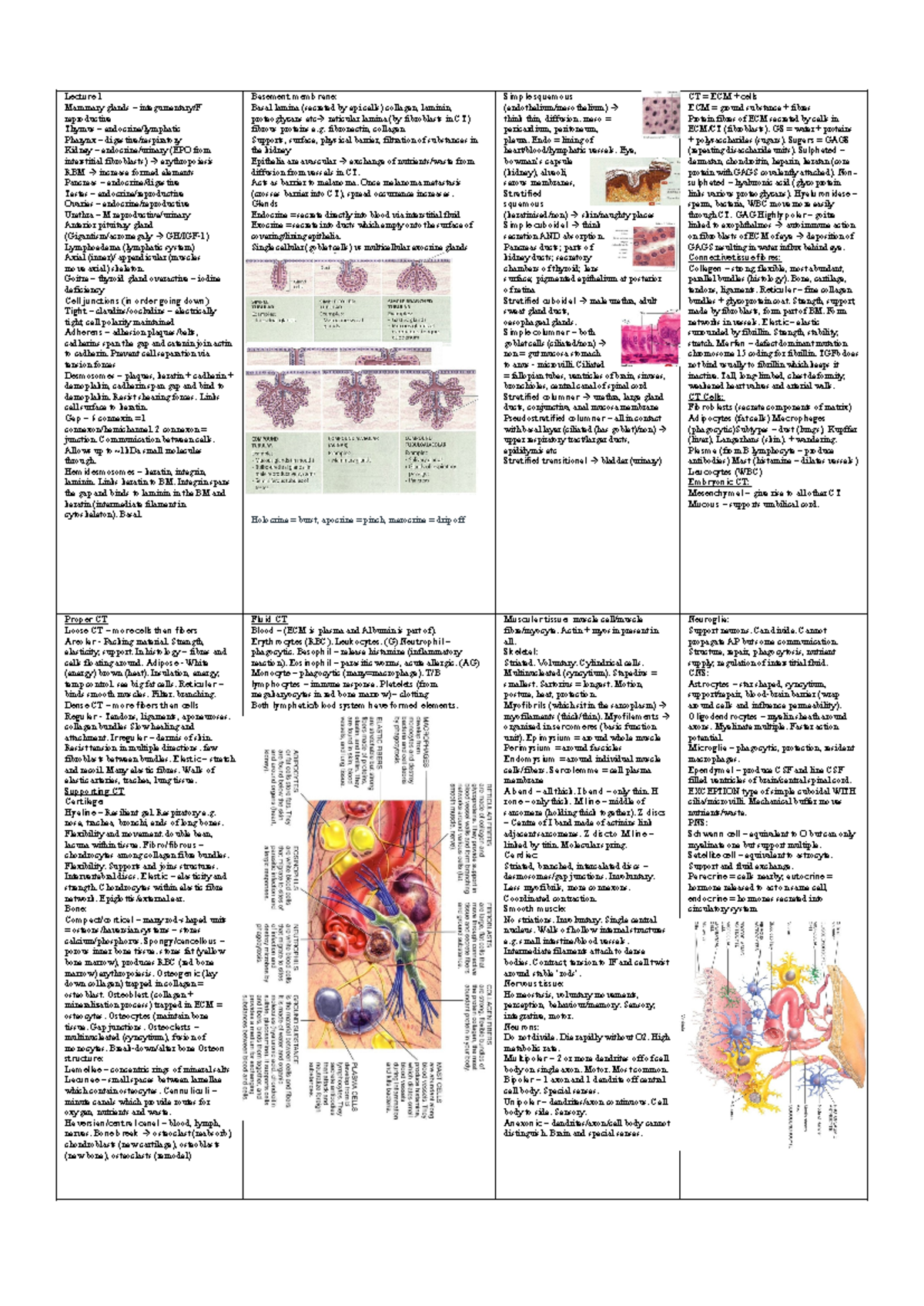 A4 summary sheet biosci test - Lecture 1 Mammary glands – integumentary ...