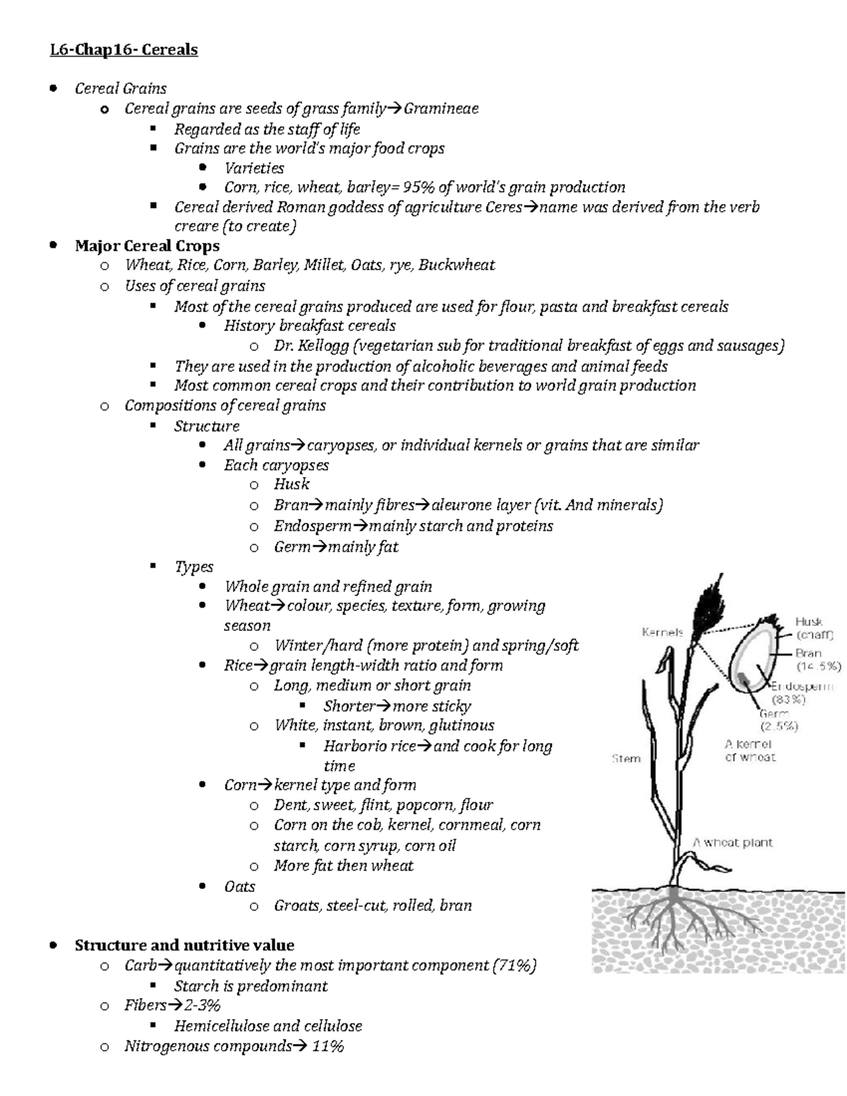 L6Cereals grains, Starches L6Chap16 Cereals Cereal Grains o Cereal grains are seeds of