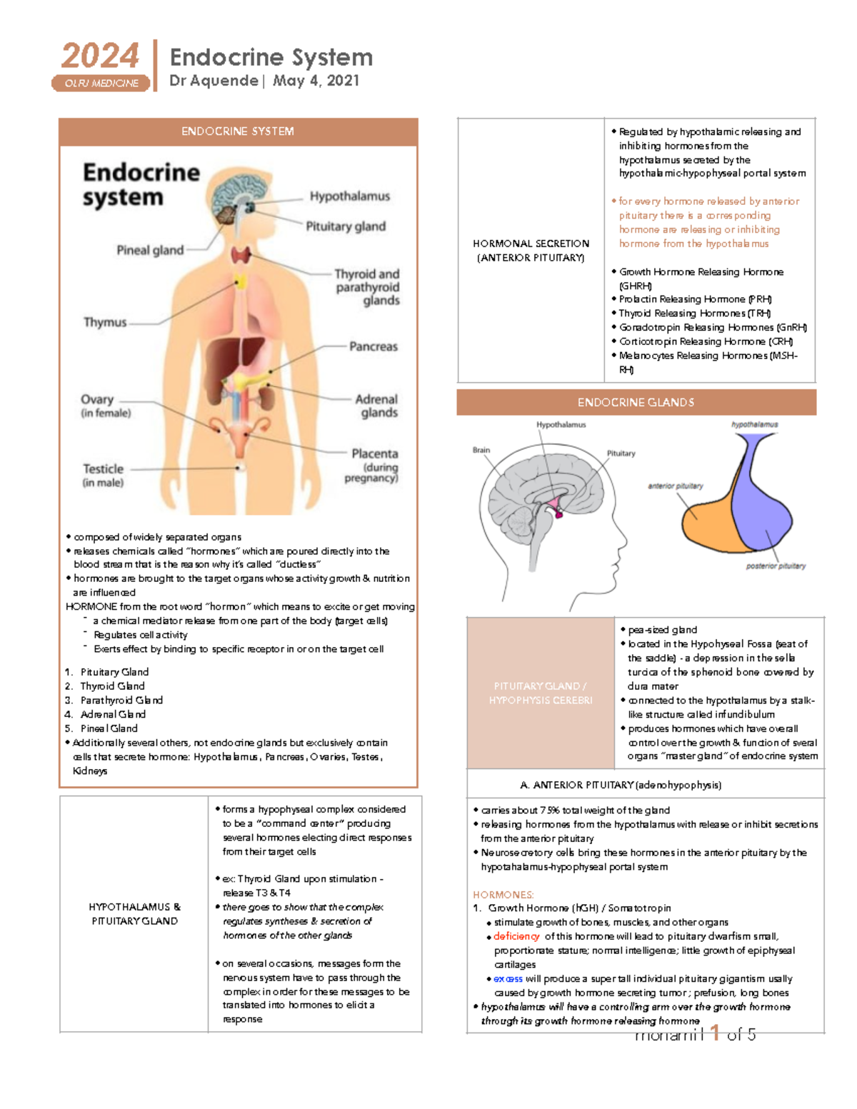 Endocrine System (GHSB) 2024 Endocrine System OLFU MEDICINE Dr
