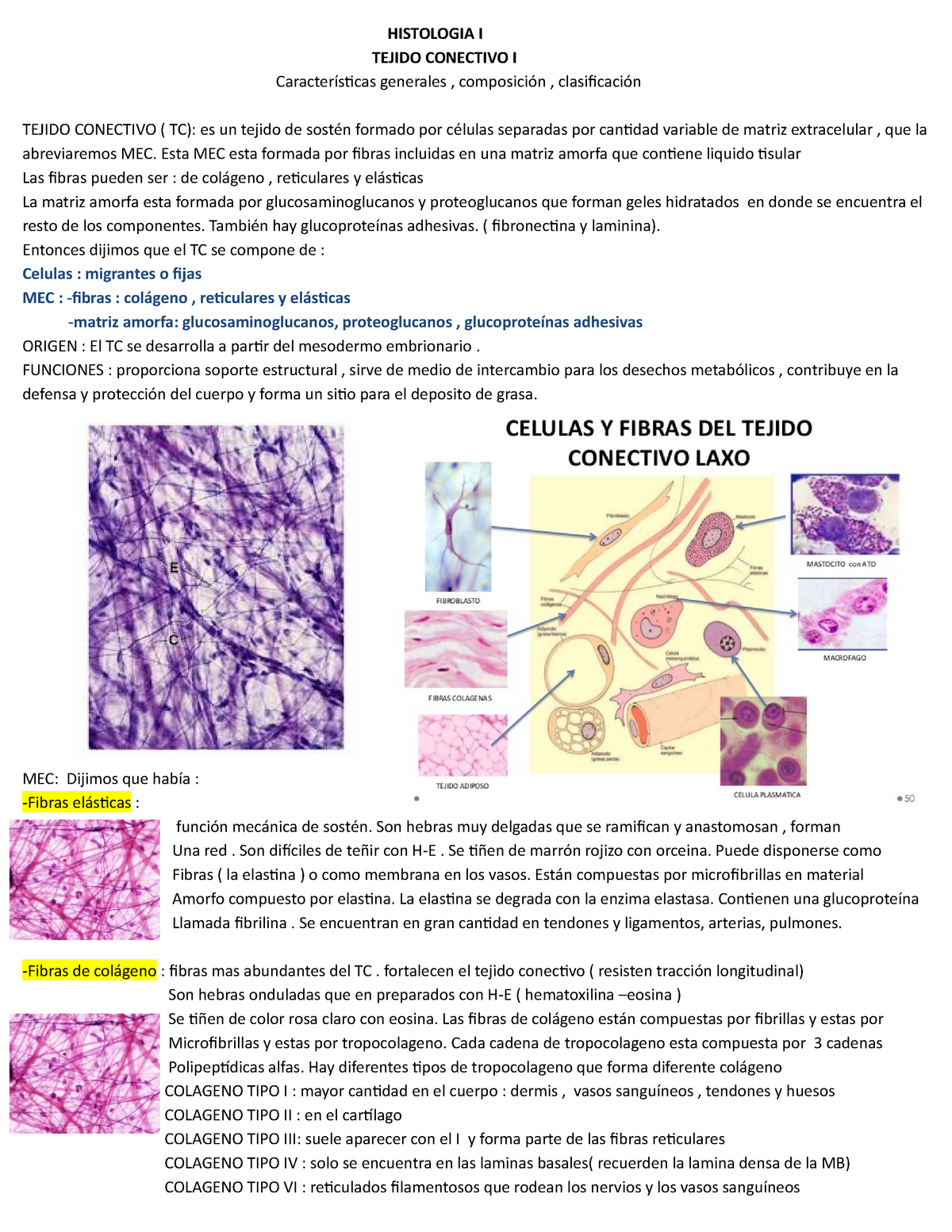 Apunte Histologia I Tejido Conectivo Generalidades Histologia I