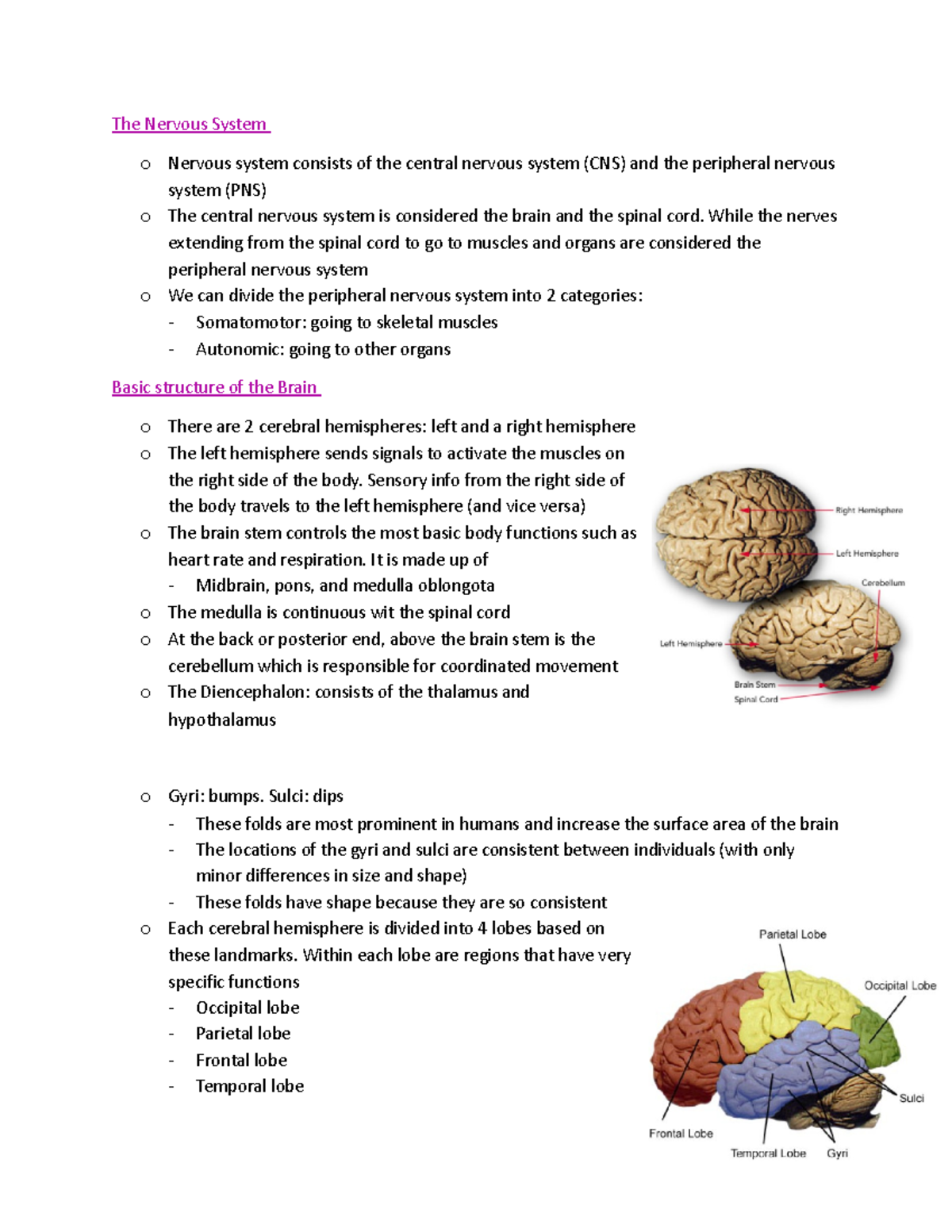 Physiology module 5 - The Nervous System o Nervous system consists of ...