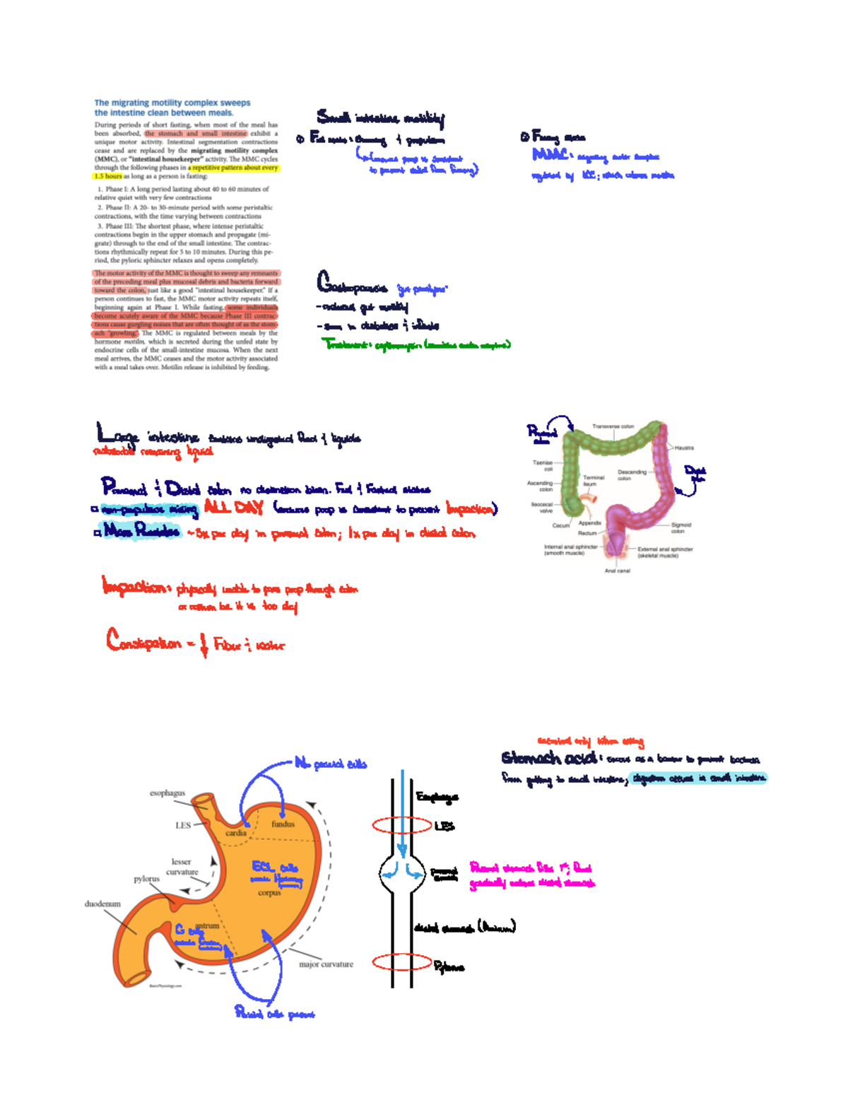 Wk2.2 Wednesday - Lecture summary of week 2 lecture 2 - BIO 5413 - Studocu