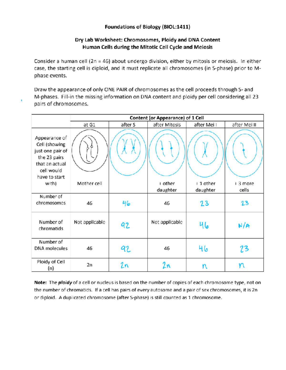 Worksheet 2 - Spring '24 - BIOL14110AAA - Studocu