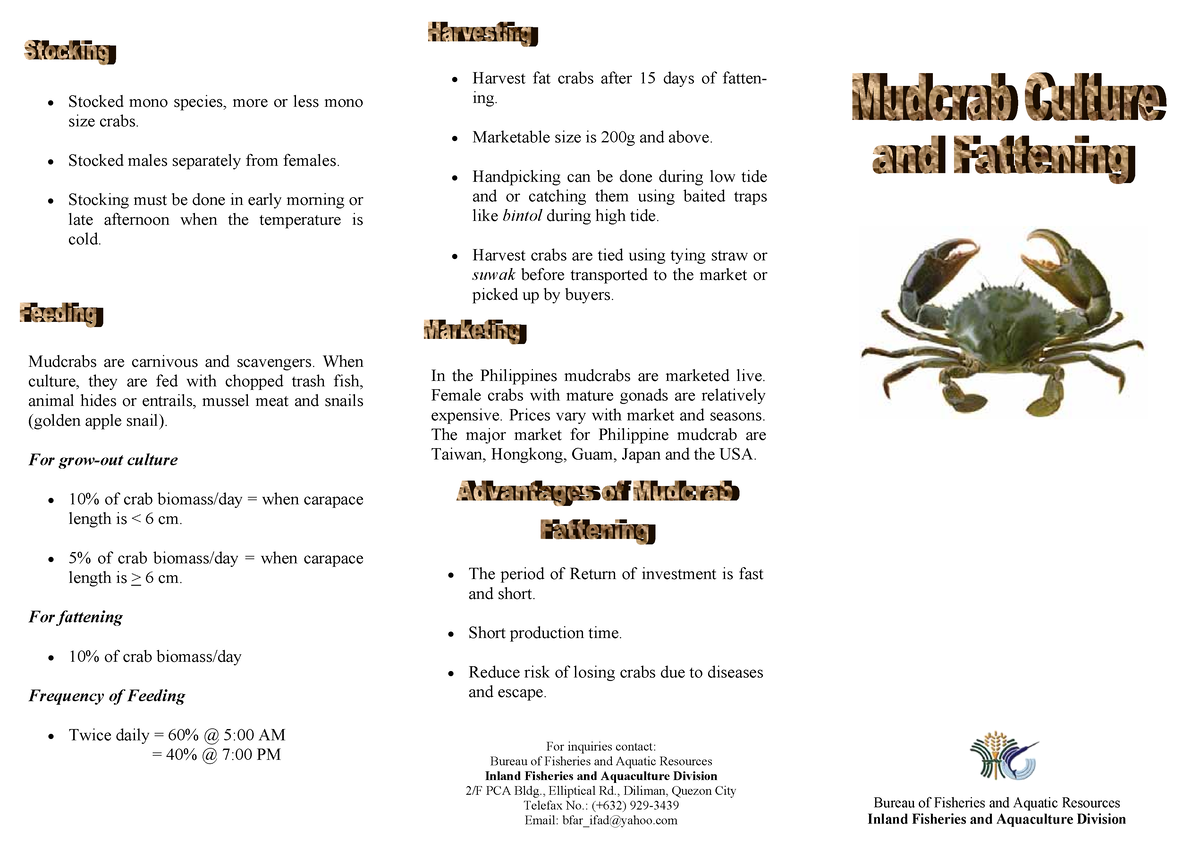 BFAR-Mud Crab Fattening - Bureau of Fisheries and Aquatic Resources ...