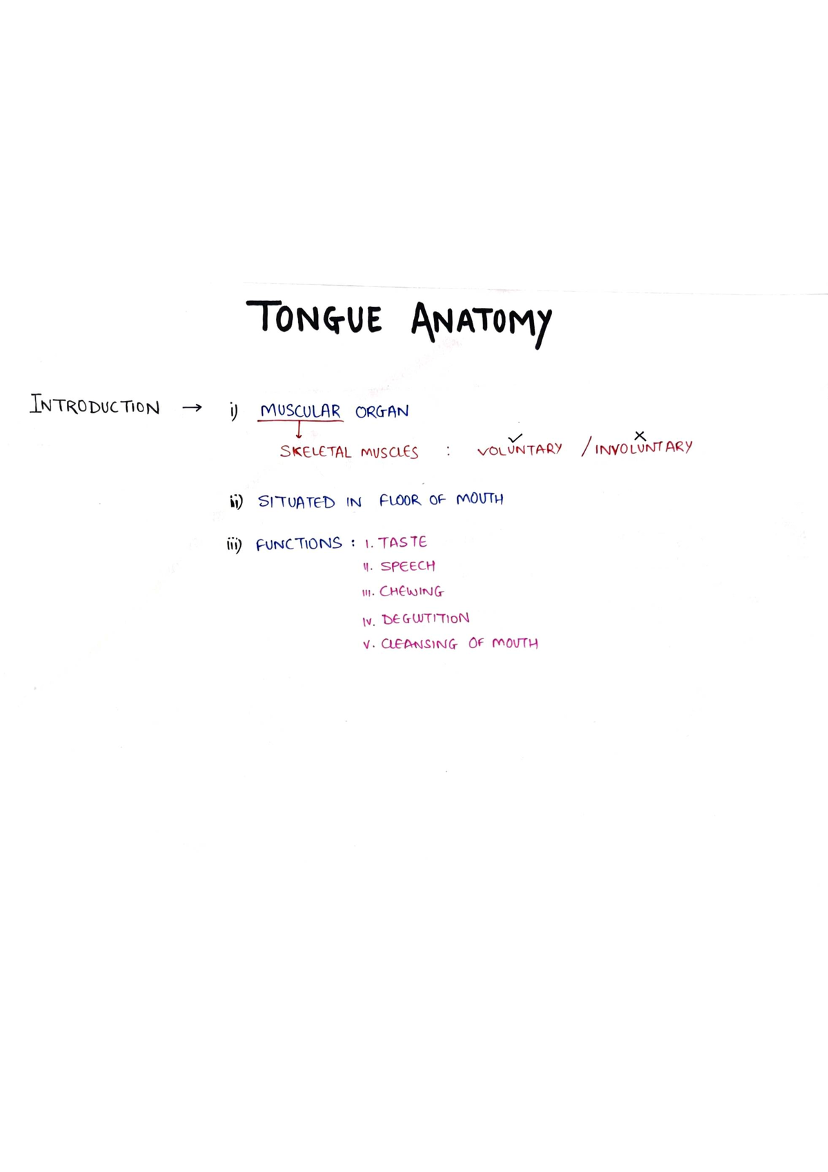 Tongue Anatomy Complete - BDS - Studocu