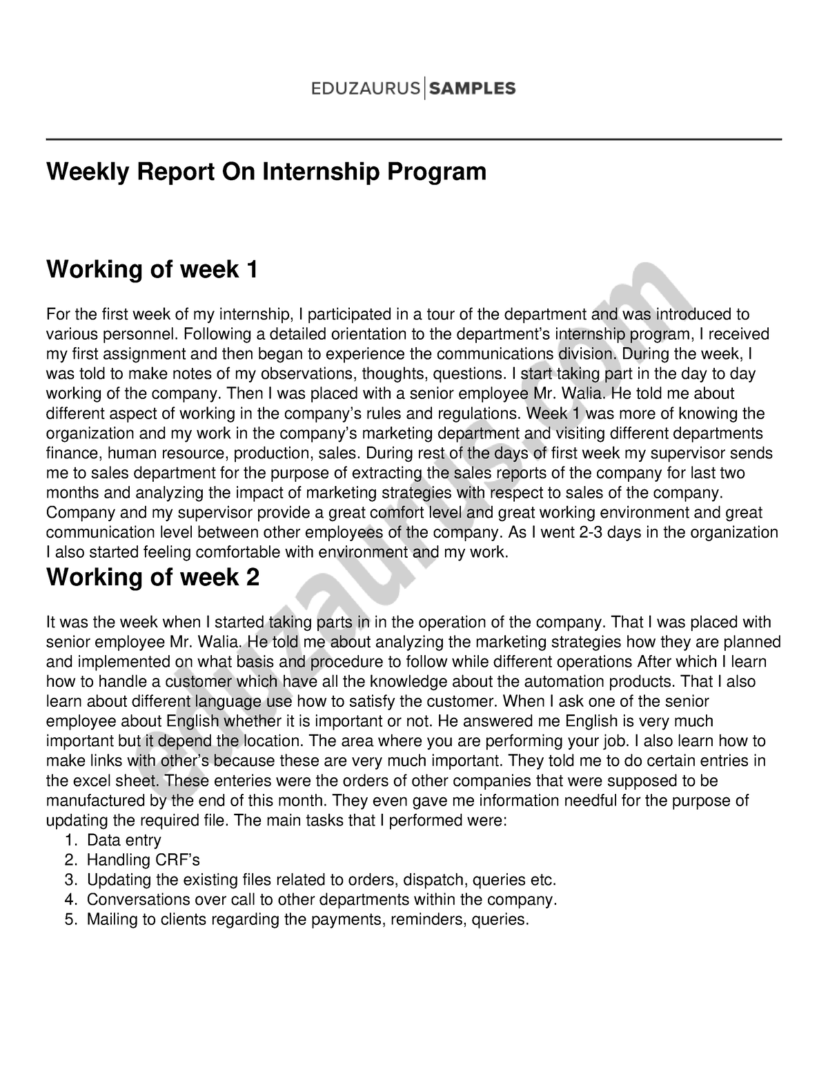 literature review in internship report