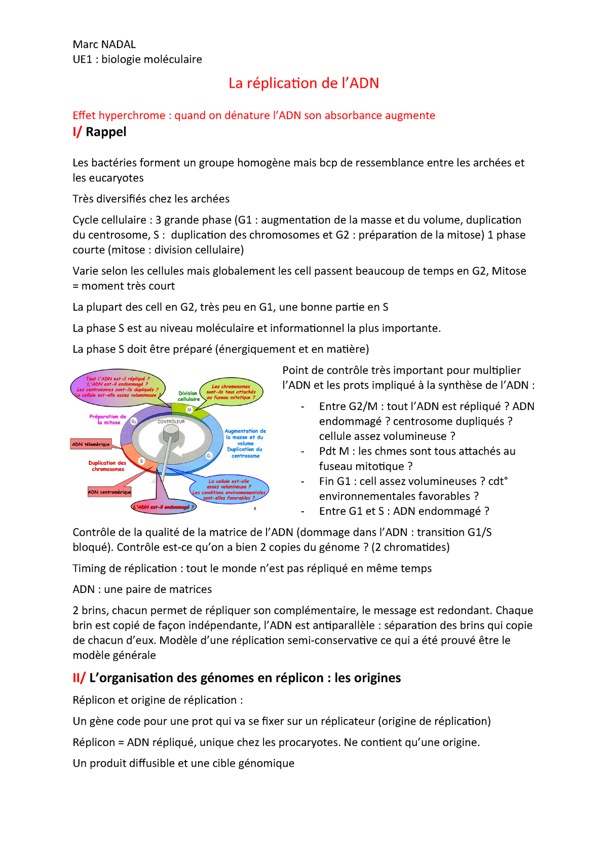 Cours De L'UE1 Biologie Moléculaire - La Réplication UE1 Biologie Mol ...