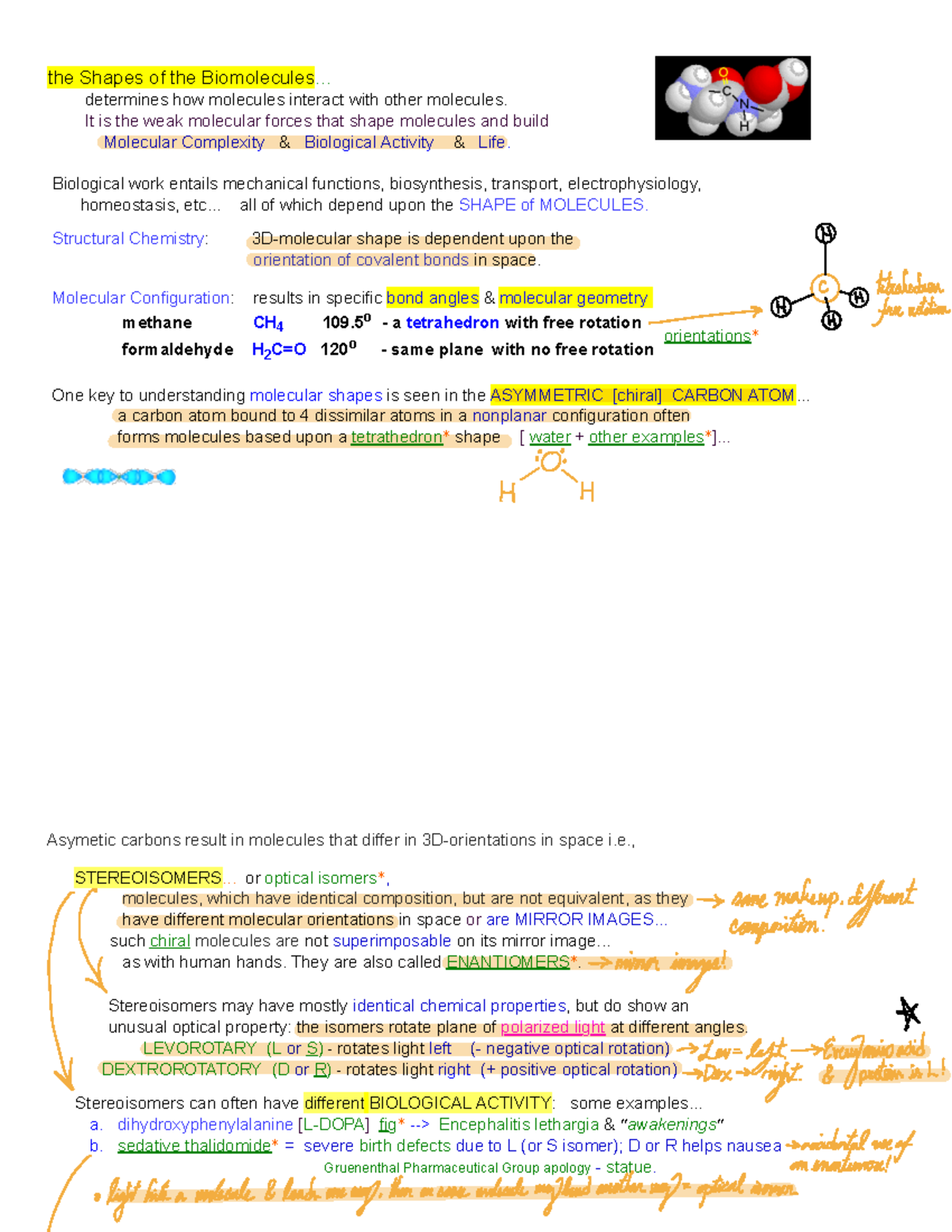 Significance of Molecular Shapes the Shapes of the Biomolecules