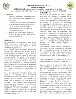 informe mitchell 2020 esteroides y diabetes