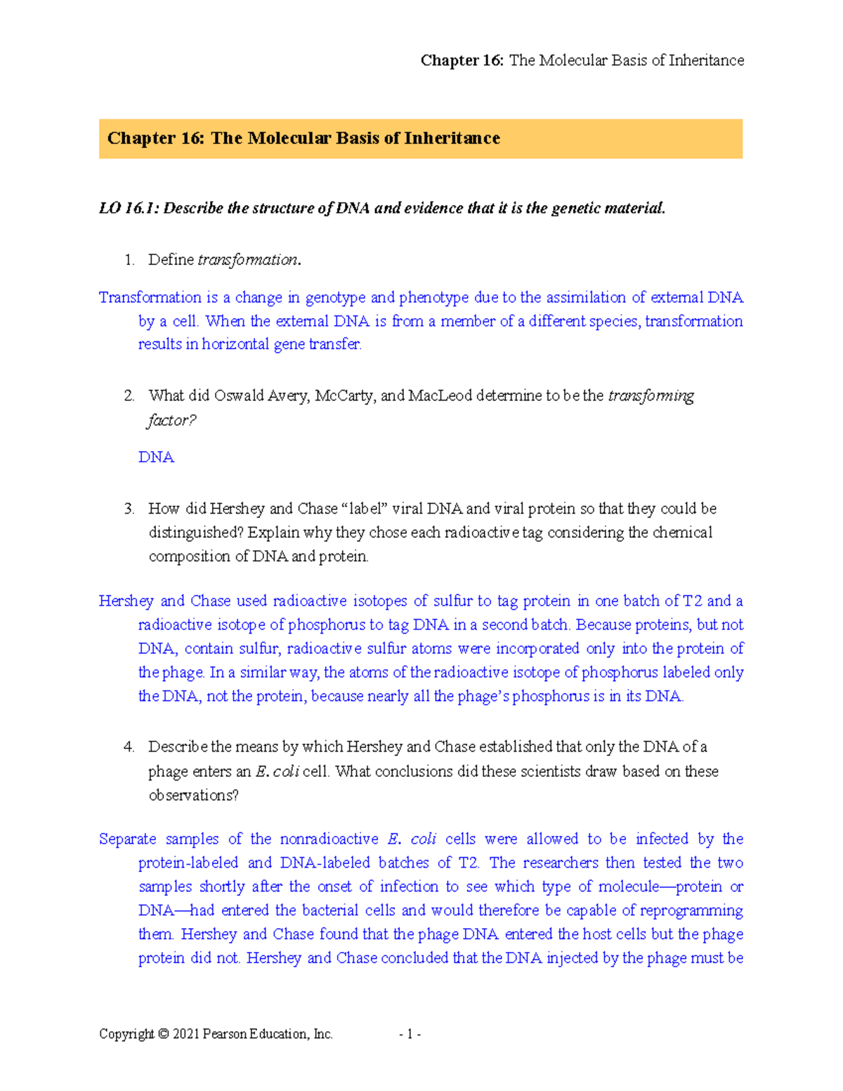 CH 16 Active Study KEY - The Molecular Basis Of Inheritance - Chapter ...