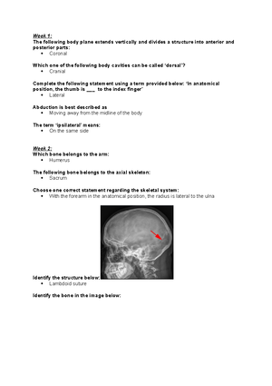 Anat - Anatomy notes on abdominal sheaths - ANAT2111 - linea aba ...