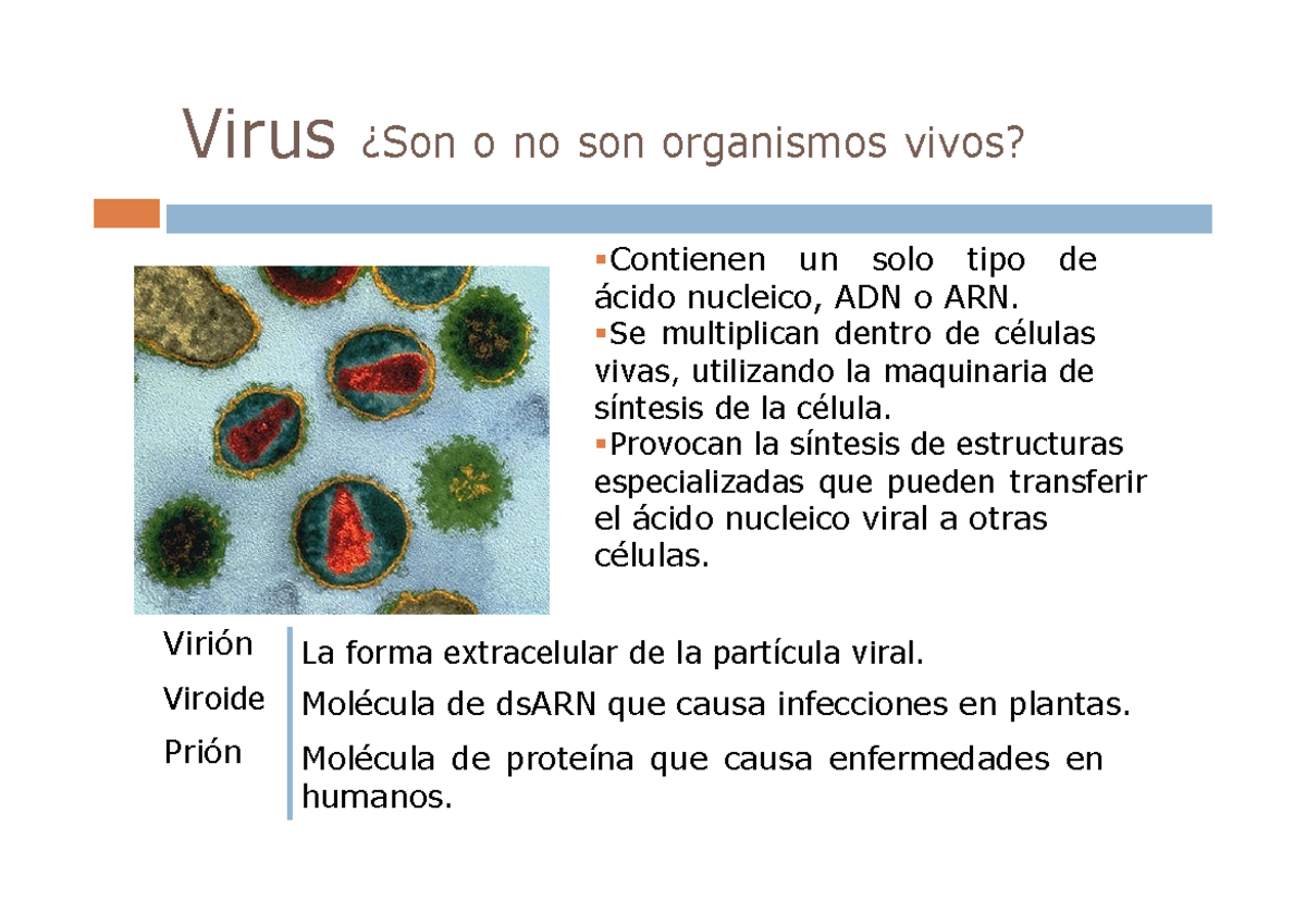 Lectura 1 Virus - Virus ¿Son o no son organismos vivos? Contienen un