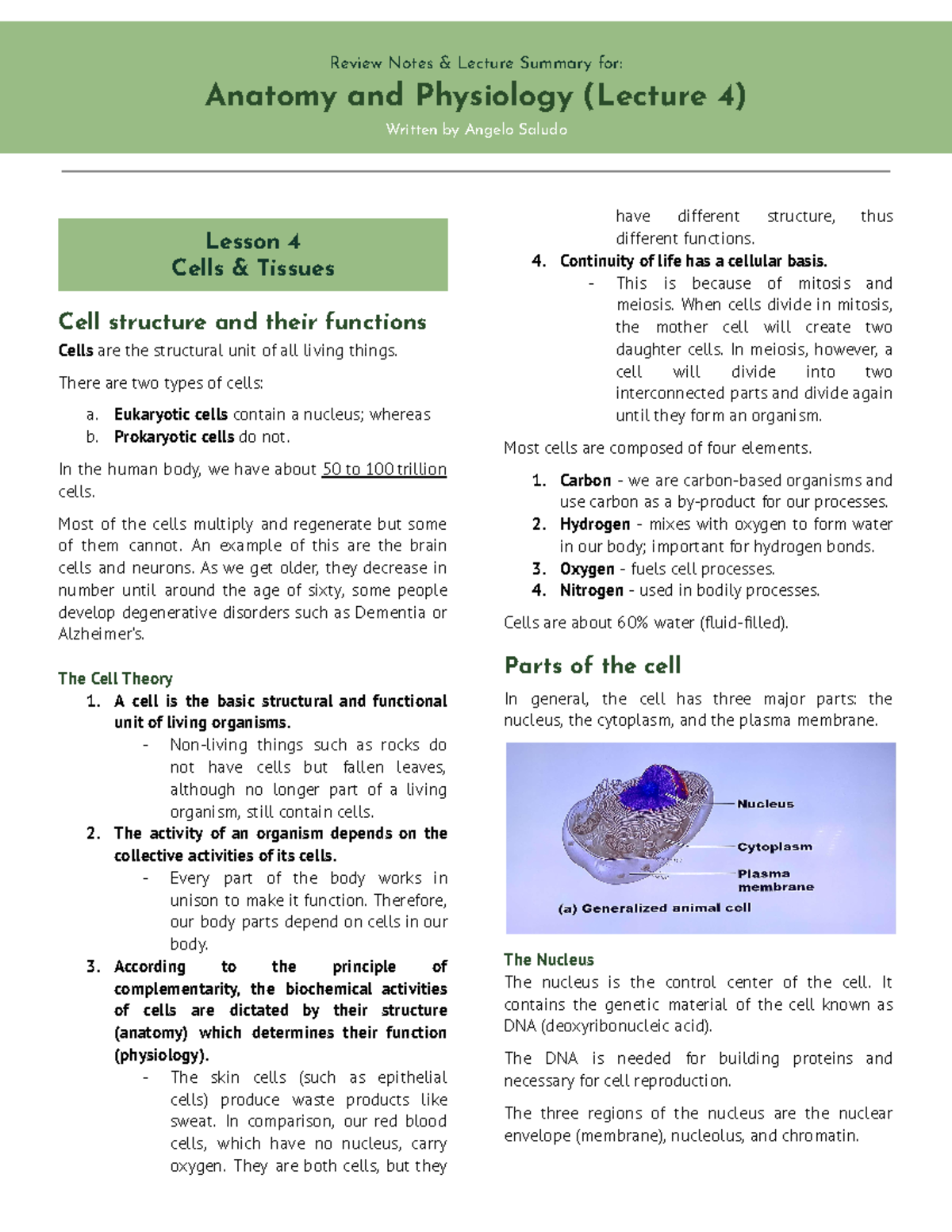 Anatomy Physiology Lecture 3 Review Notes - Anatomy and Physiology ...