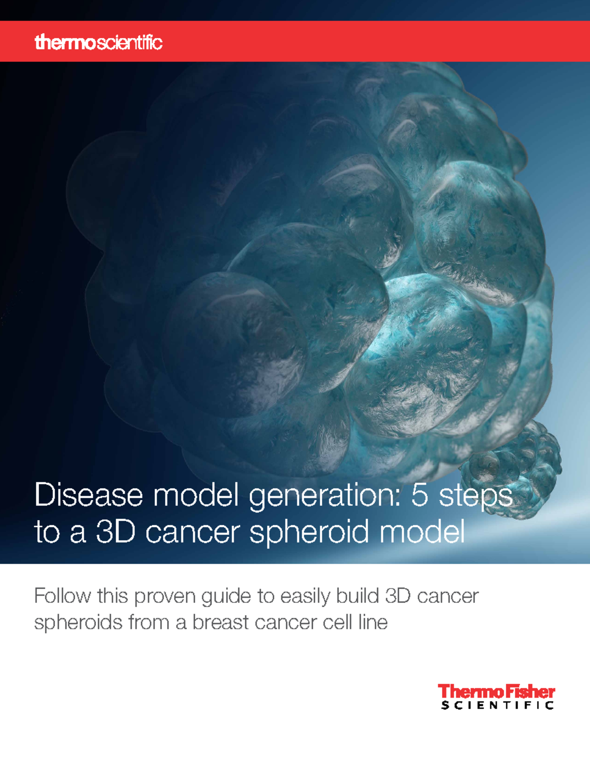 5 steps 3d cancer spheroid brochure - Disease model generation: 5 steps ...