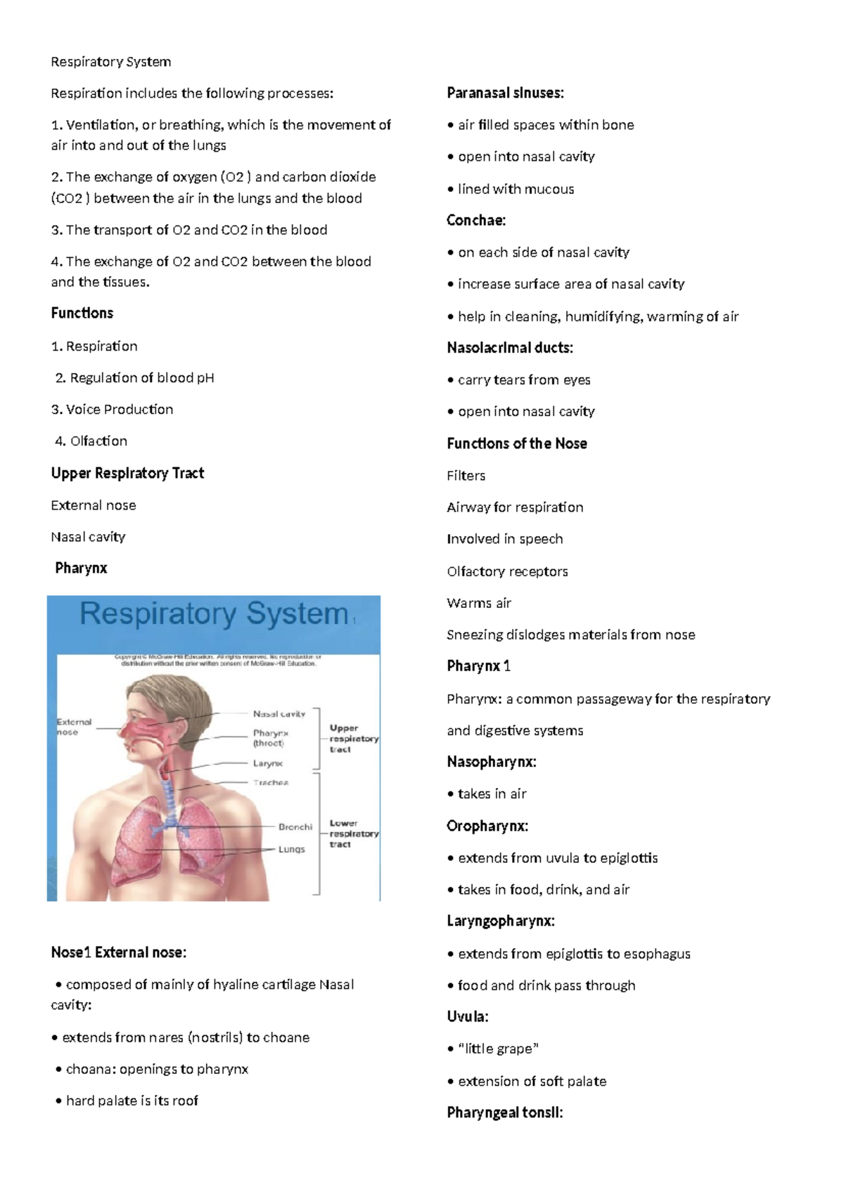 Respiratory-System - Respiratory System Respiration includes the ...