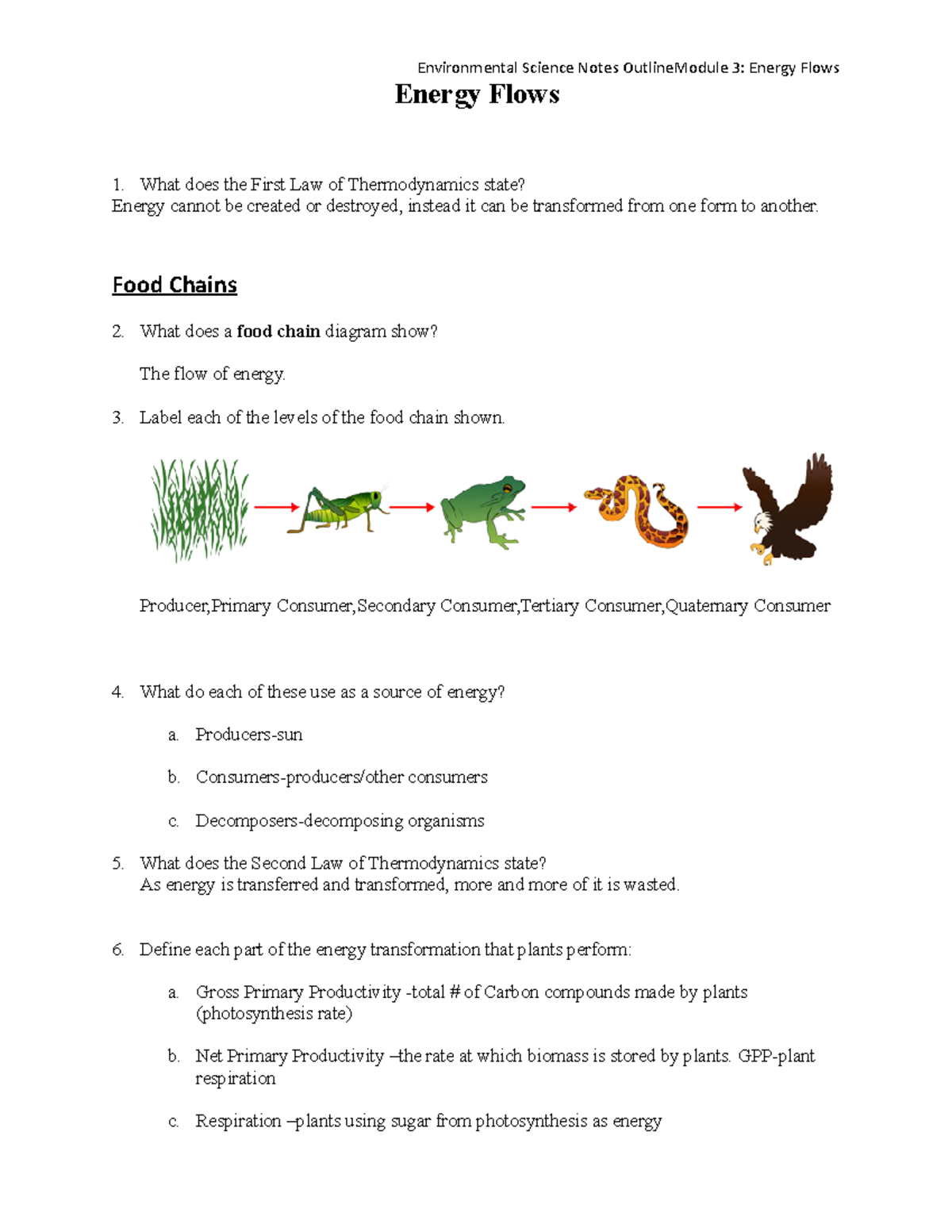 copy-of-module-3-energy-flows-lecture-notes-energy-flows-what-does