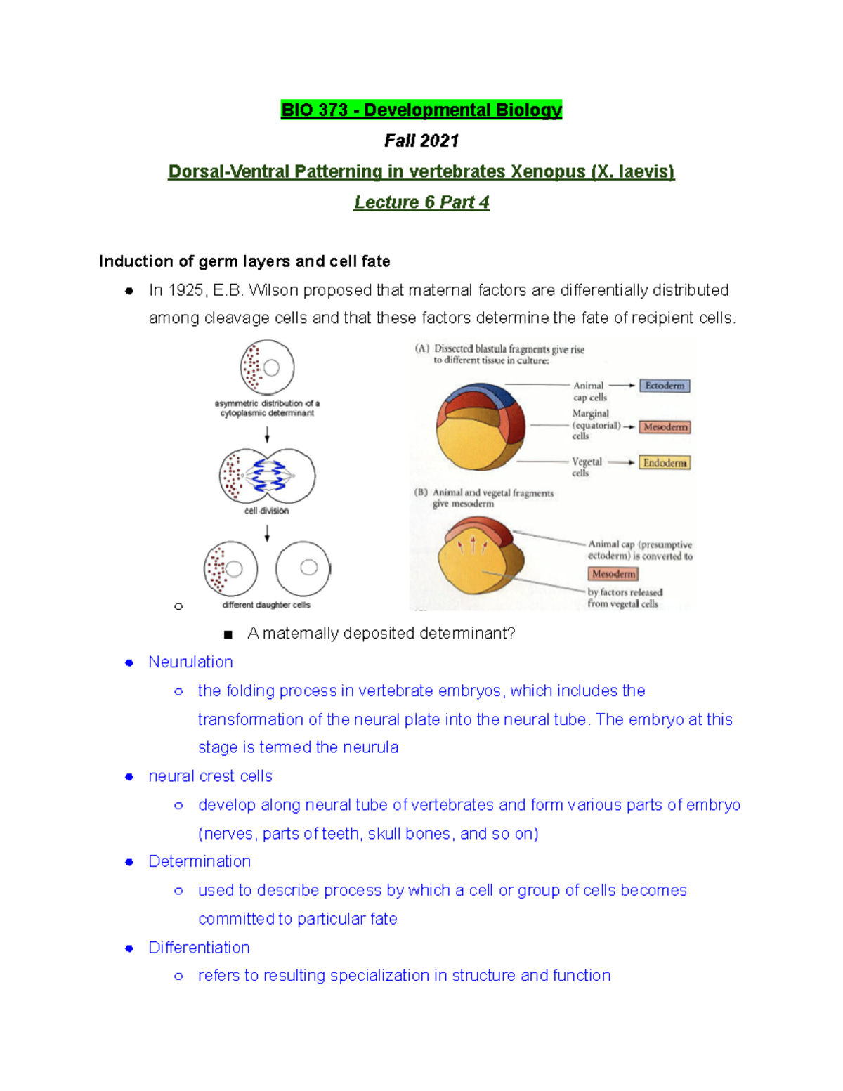 BIO 373 Lecture 6 Part 4 - Fall 2021 - BIO 373 - Studocu