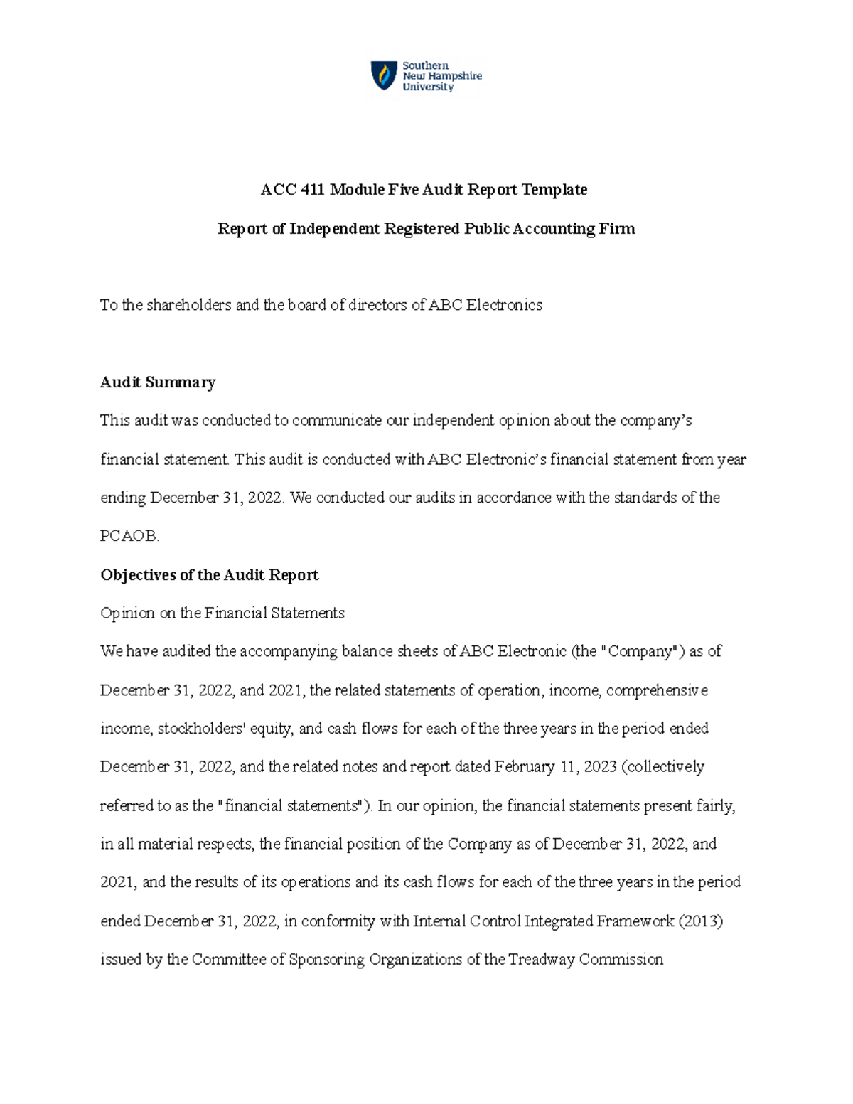 ACC 411 Module Five Audit Report Template - ACC 411 Module Five Audit ...