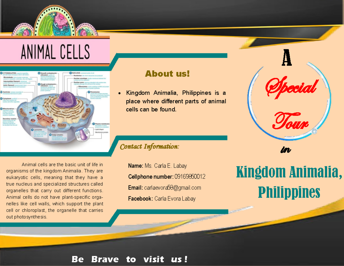 Labay, Carla E. Brochure - Animal cells are the basic unit of life in ...