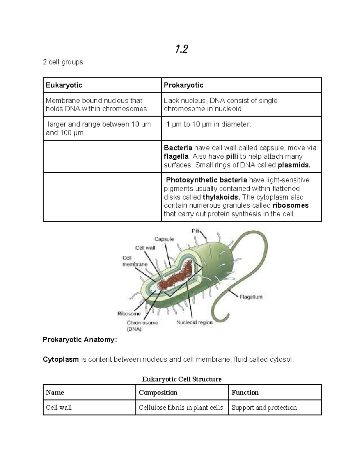 1.2-Cellular Biology - 1 2 cell groups Eukaryotic Prokaryotic Membrane ...