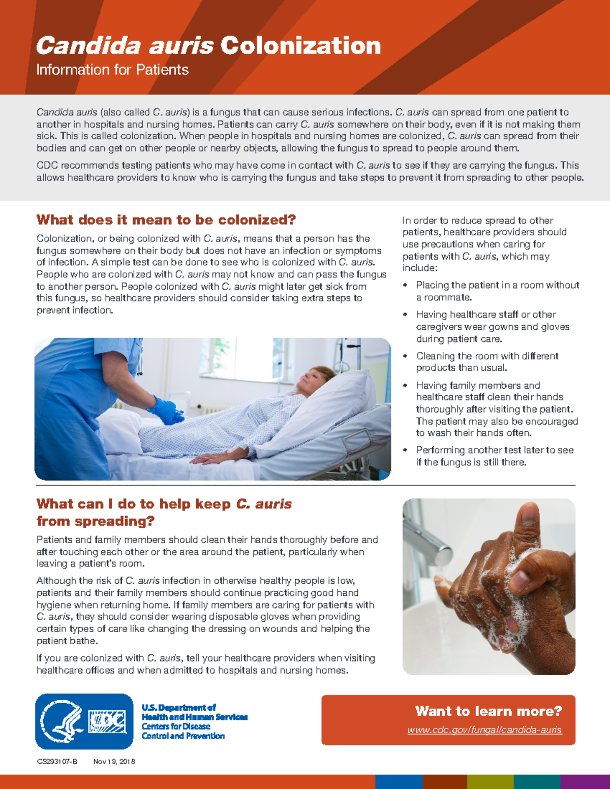 Patient Fact Sheet Material Work Candida Auris Colonization Information For Patients Candida 