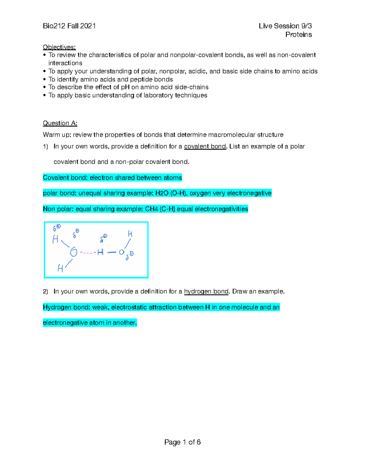 Proteins and Bonds - Professor Goupil - Proteins Objectives: To review ...