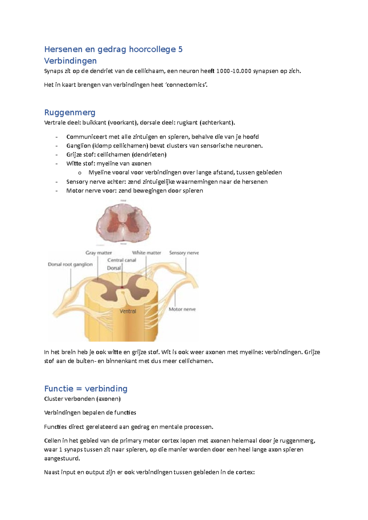 Hersenen En Gedrag Hoorcollege 5 - Het In Kaart Brengen Van ...