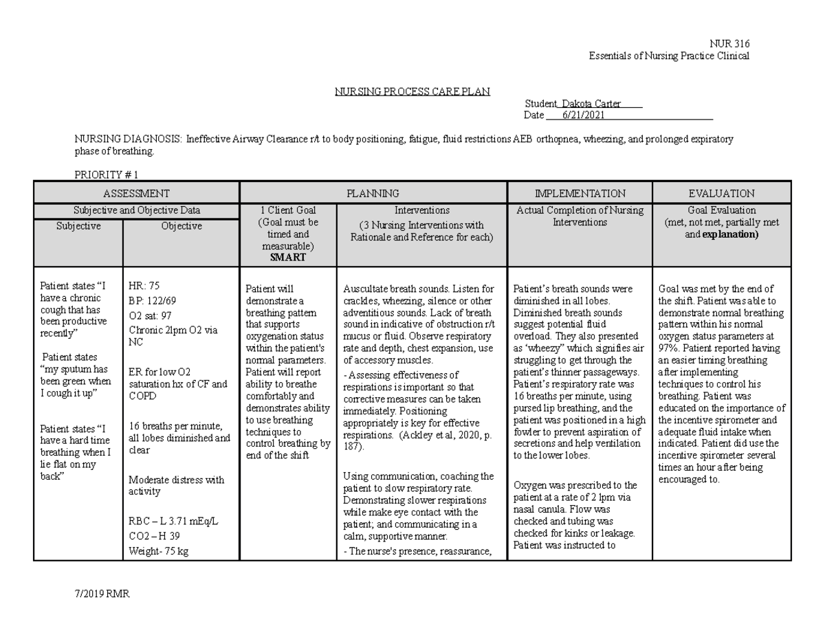 NUR322 Care Plan #4 - Notes for class - Essentials of Nursing Practice ...