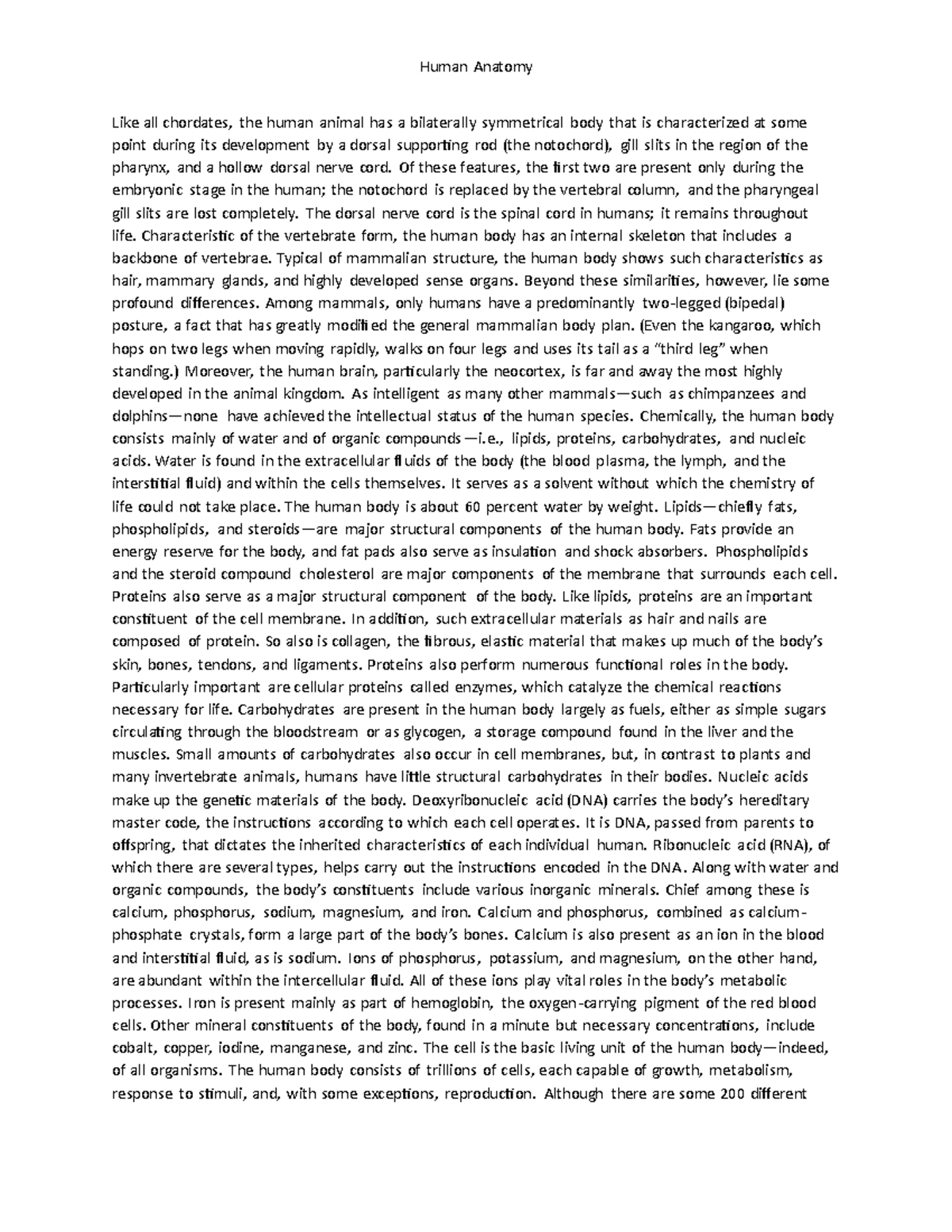 The human body 3 - essay - Human Anatomy Like all chordates, the human ...