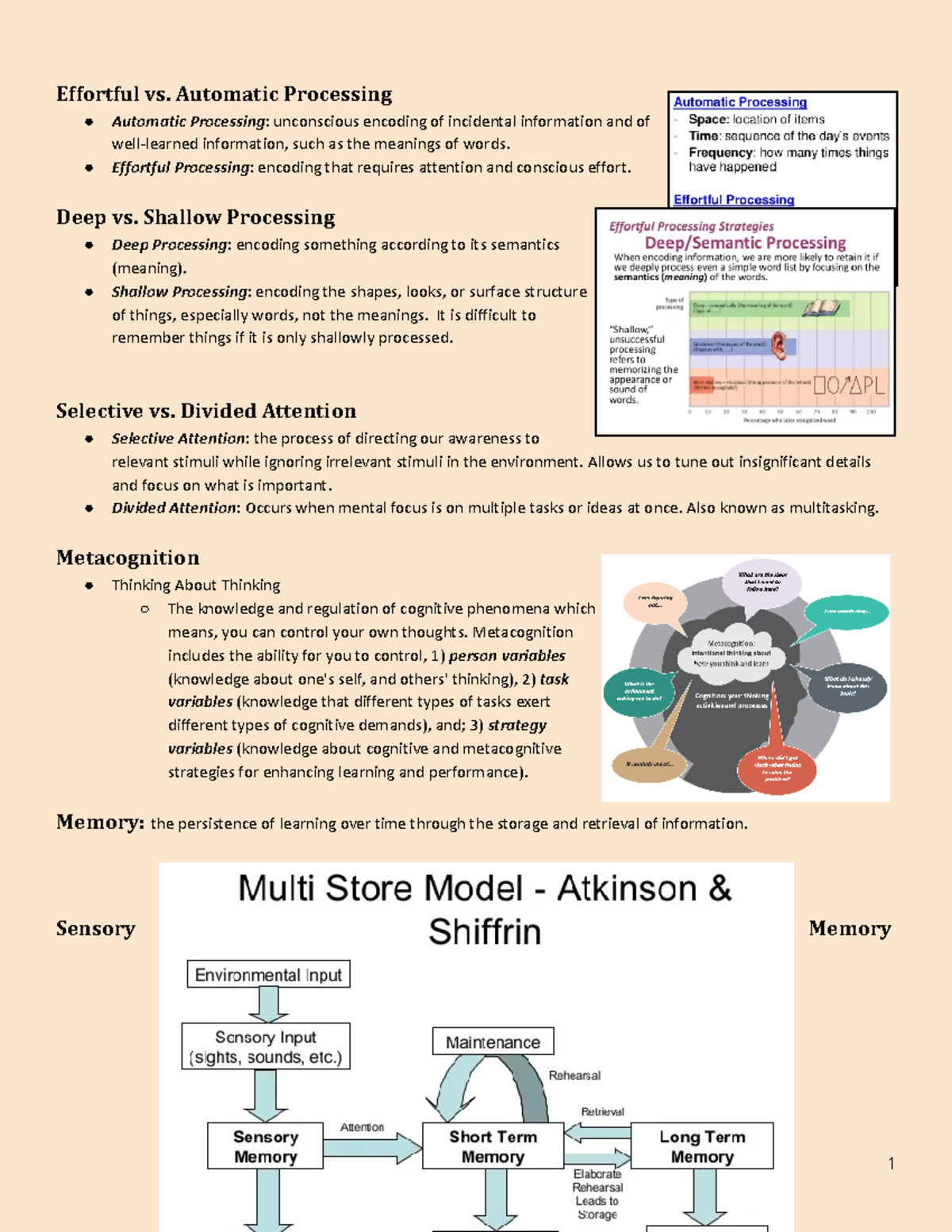 Psychology of Cognition Effortful vs. Automatic Processing Automatic