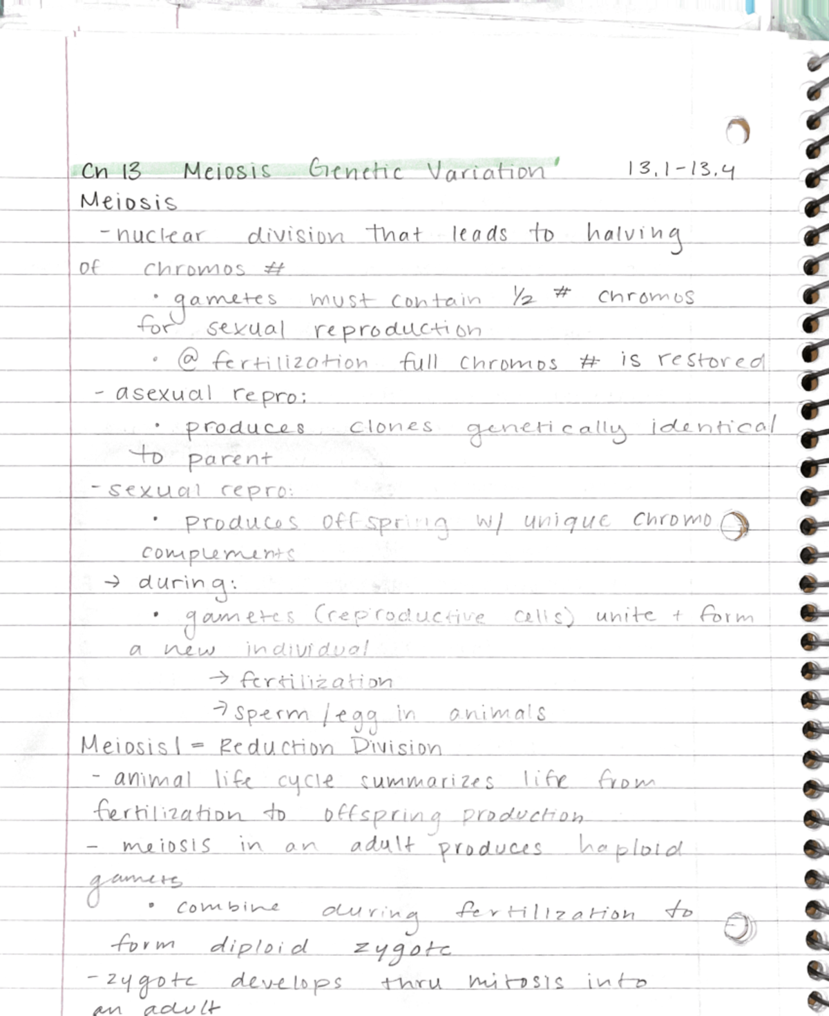 Meiosis and Genetic Variation - BISC207 - Studocu