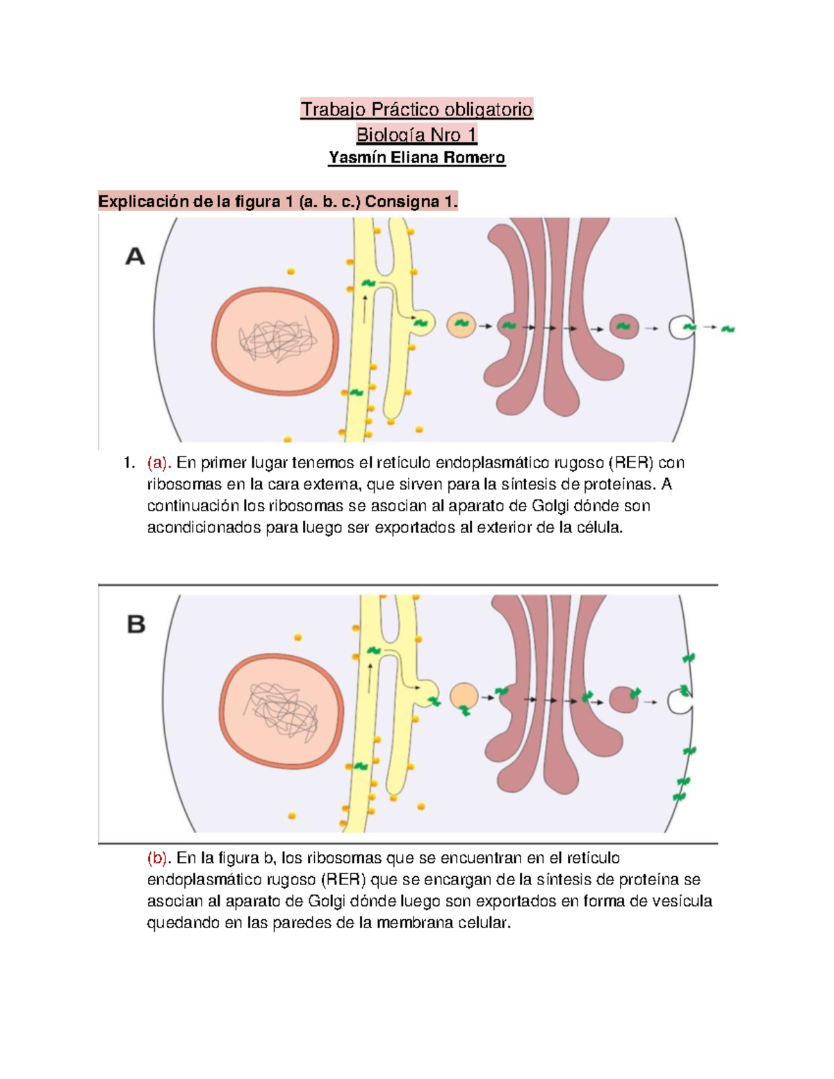 TP BIO Romero - Tp de biologia módulo 2 al 7 - Trabajo Práctico ...