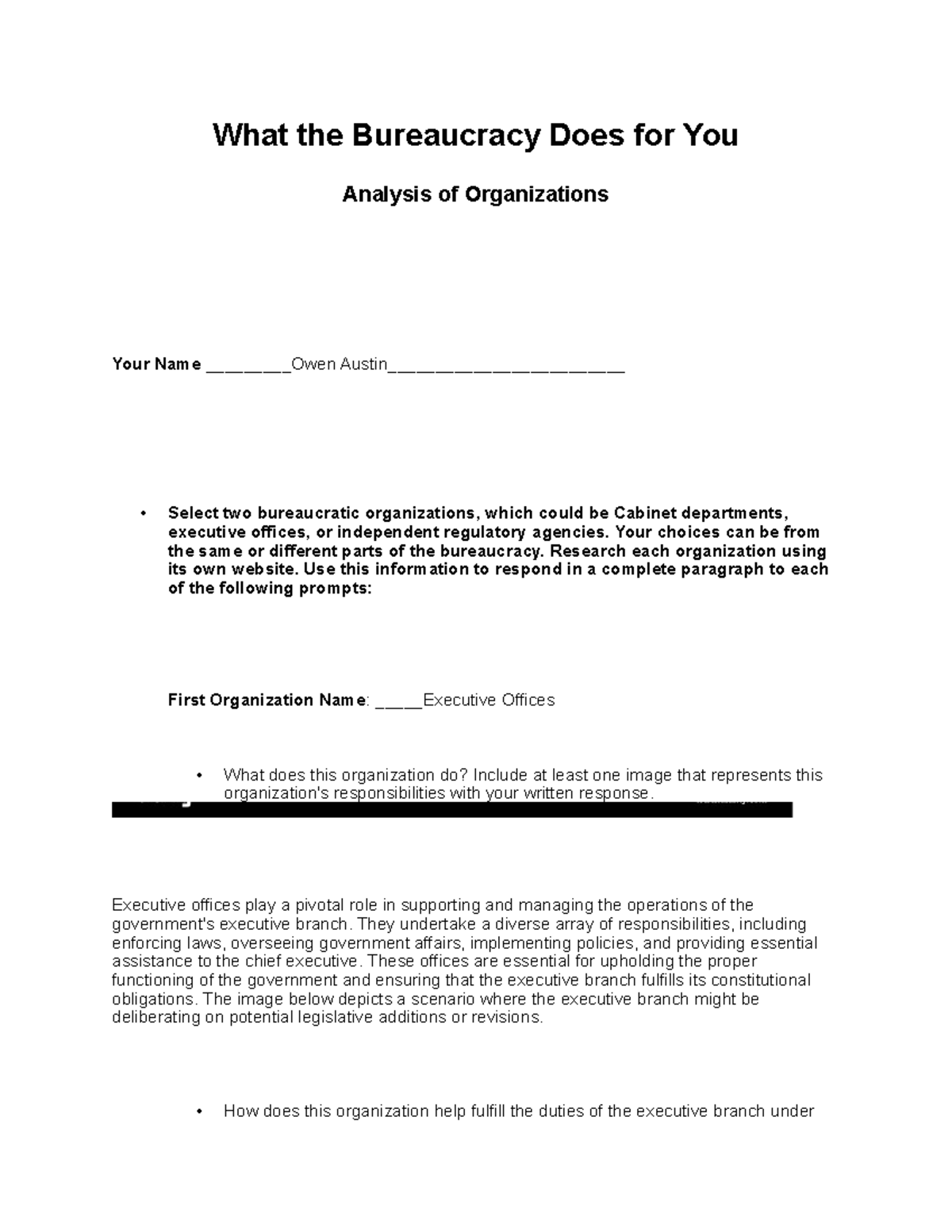 2.04 US GOV - Assignment 2.04 US Gov. FLVS. - What The Bureaucracy Does ...