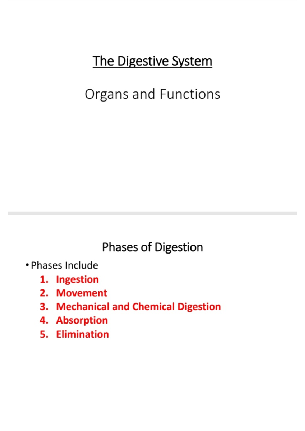 Digestive System organs and functions - Cell biology - Studocu