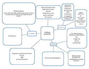 Scalded skin syndrome - concept map - Scalded skin syndrome Is ...