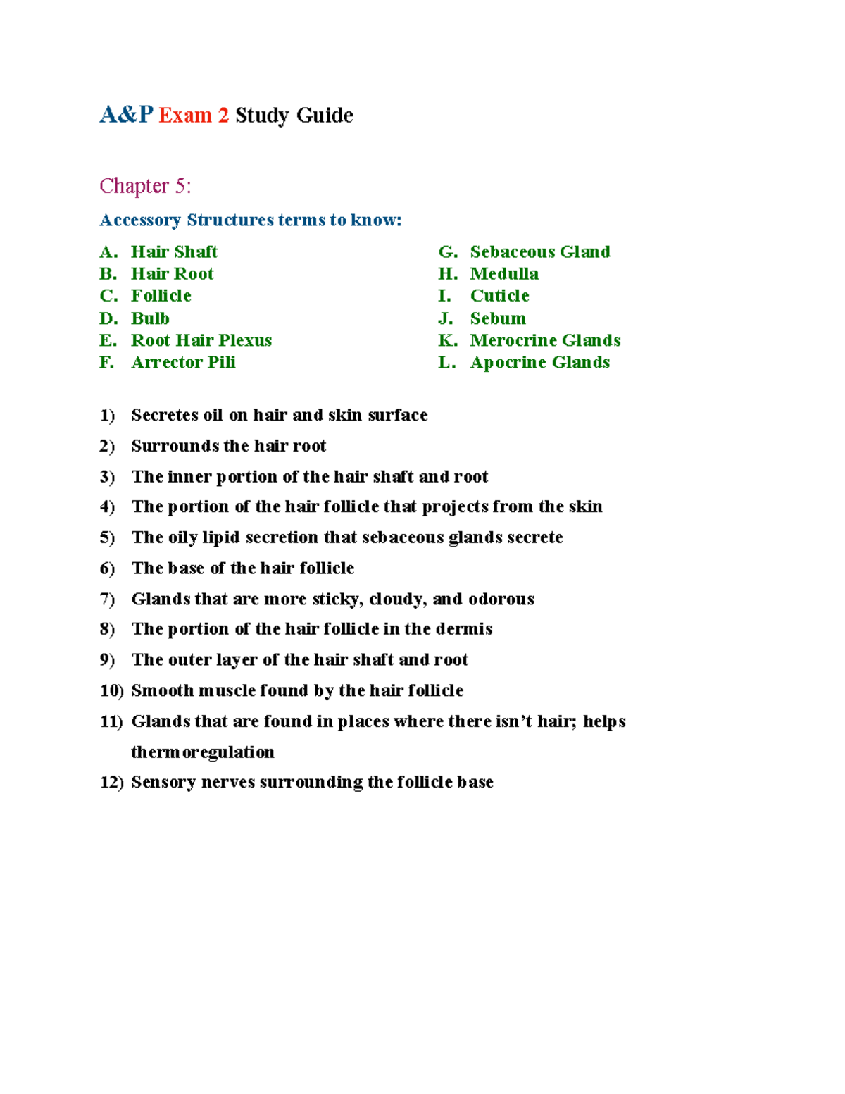 A&P 2 Study Guide - A&P Exam 2 Study Guide Chapter 5: Accessory ...