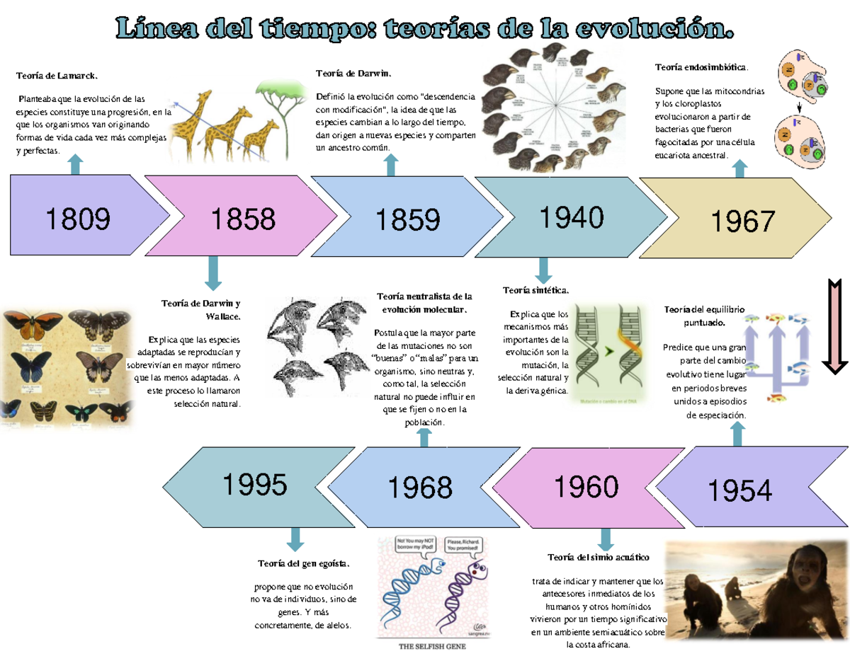 Linea del tiempo - 1809 1858 1859 1940 1995 1968 1960 Teoría de Lamarck
